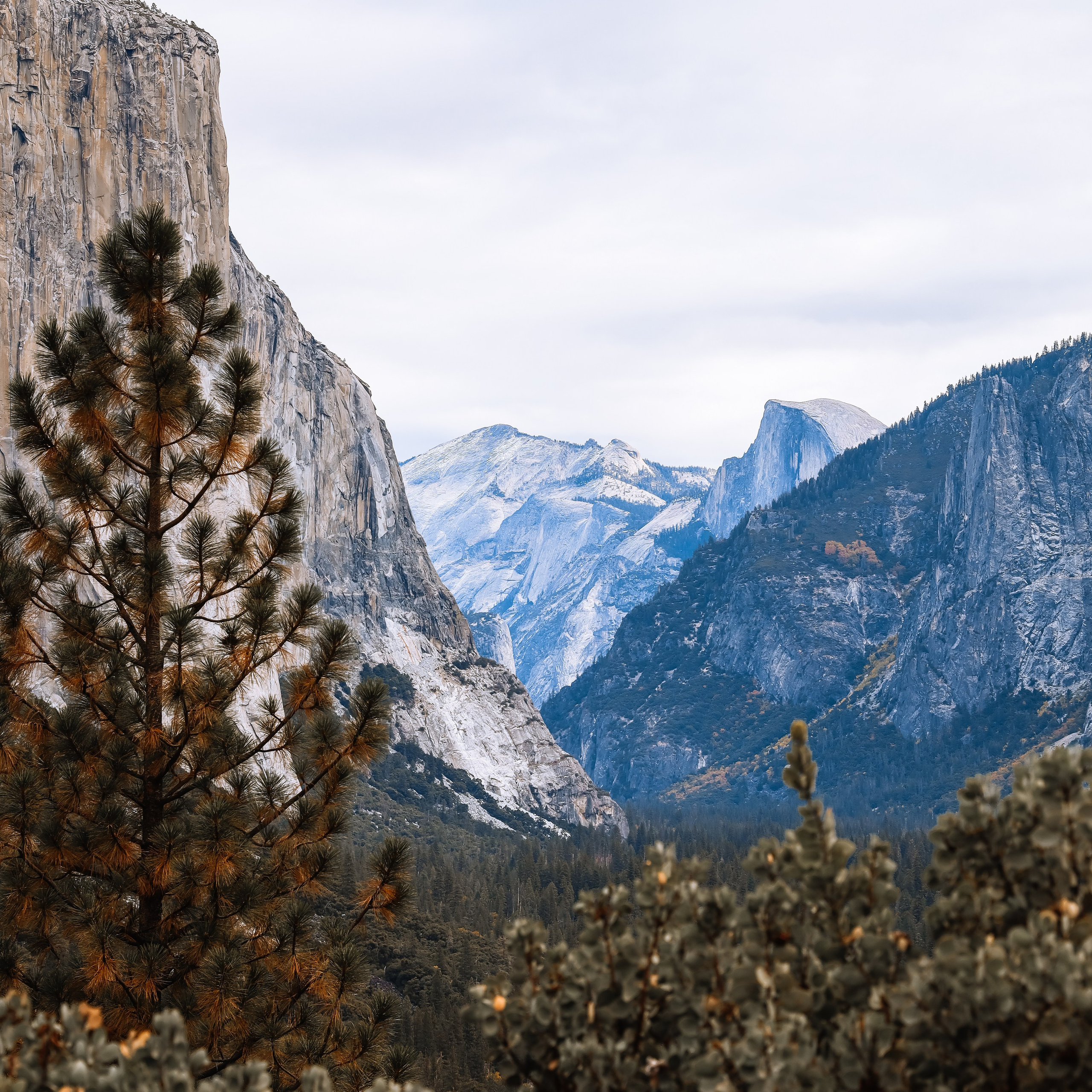 Print “Tunnel View”. Nailya Galibabayeva — San Francisco & Bay Area Photographer