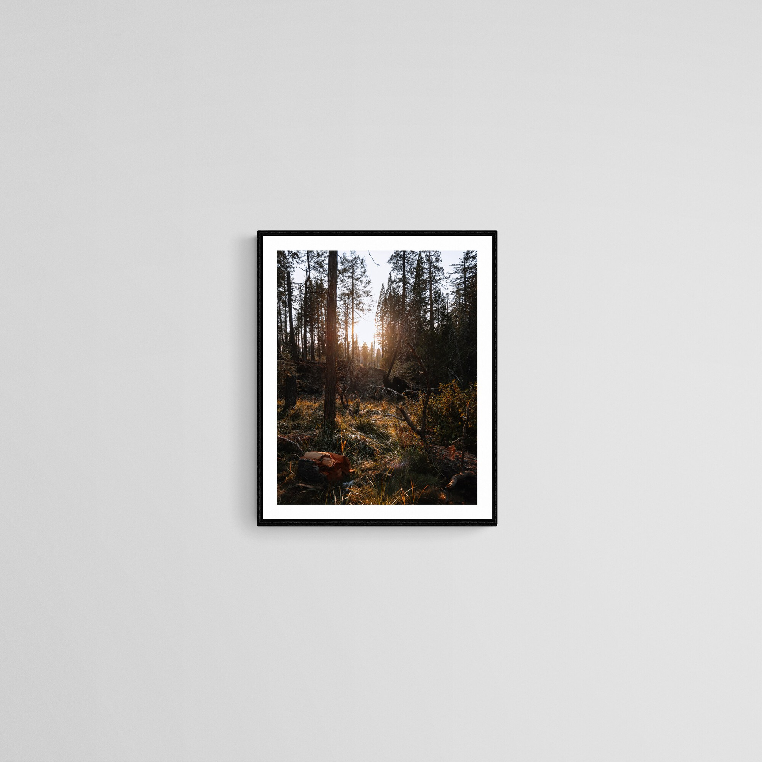 Print “Sunset forest”