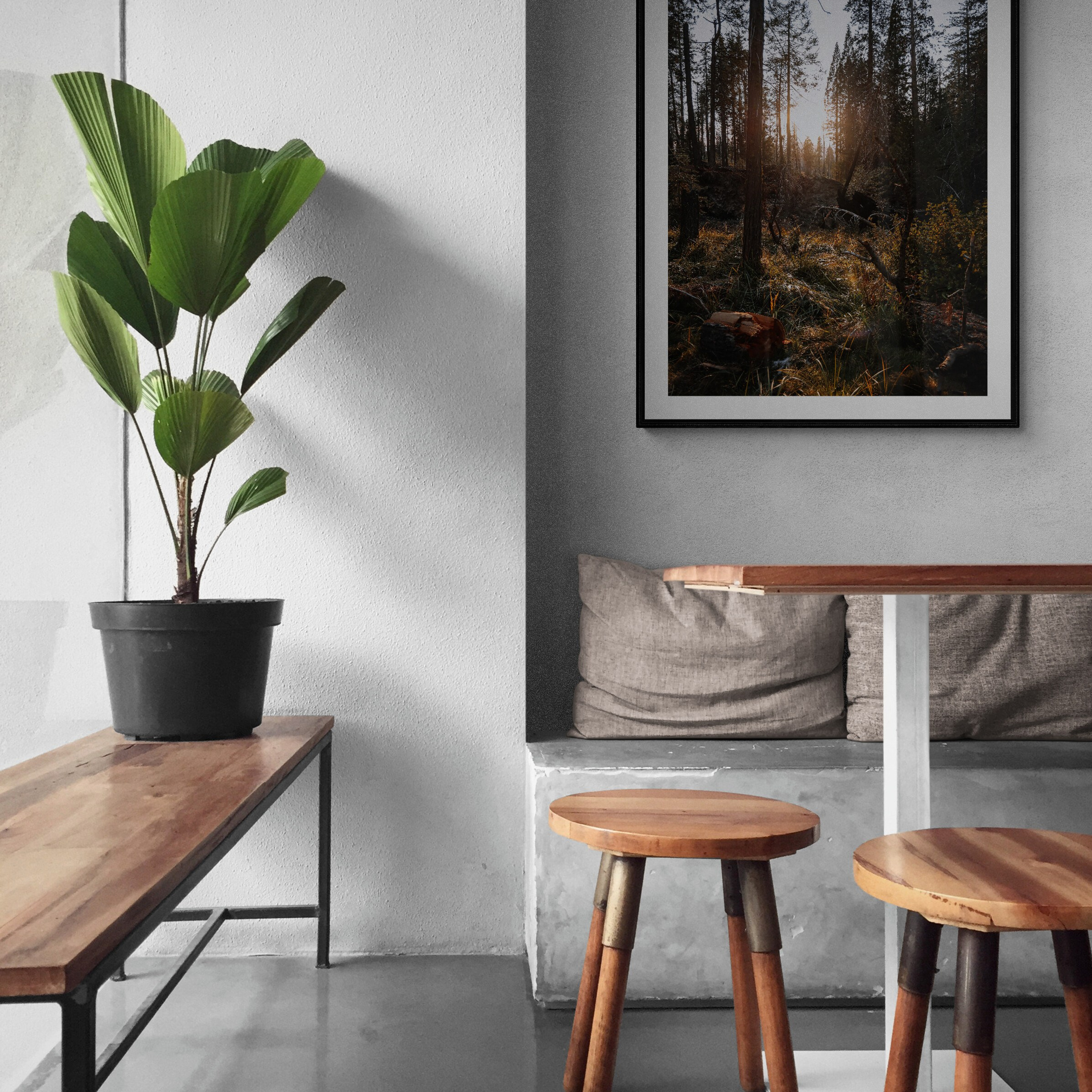 Print “Sunset forest”
