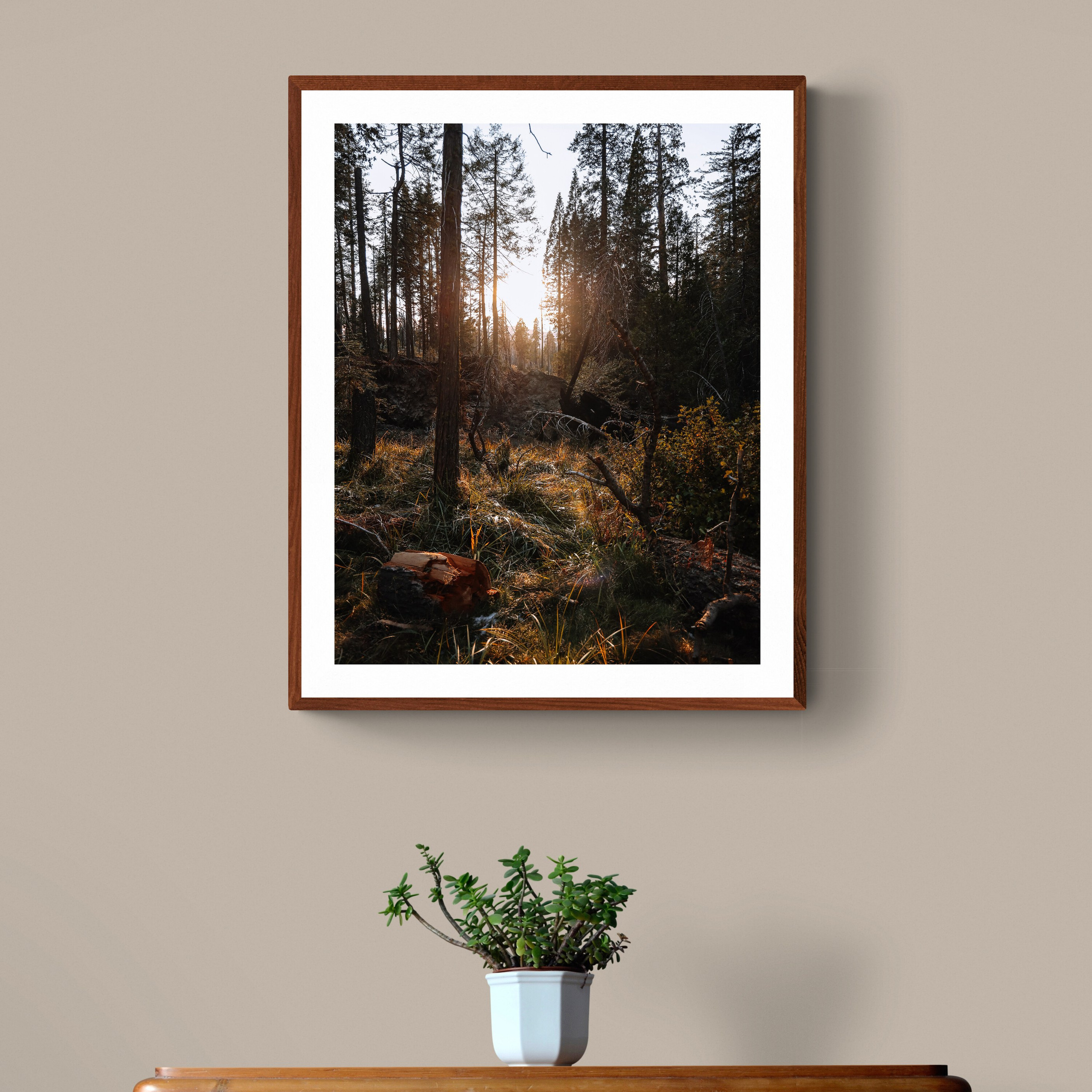 Print “Sunset forest”