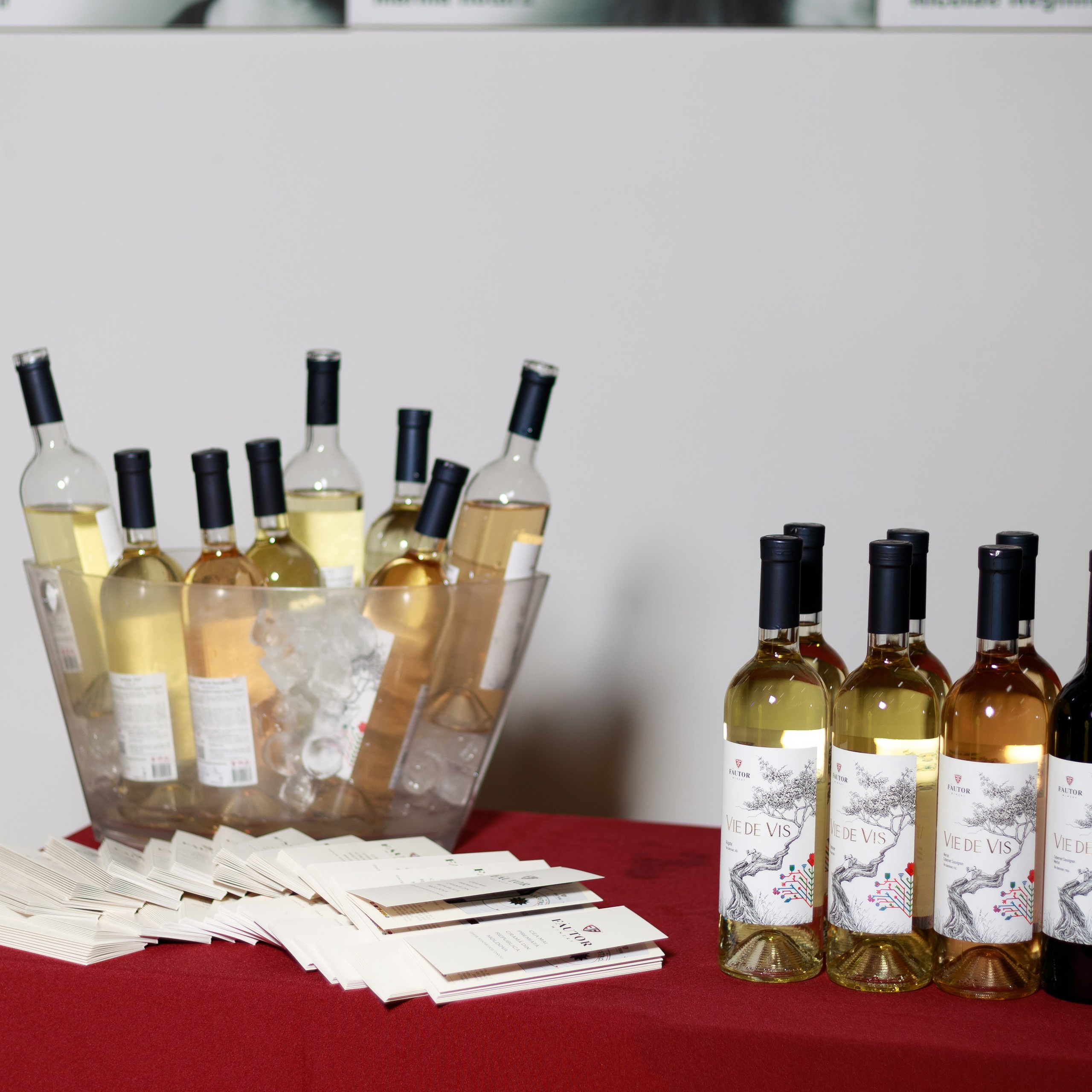 Reviews. Captured by Hallovud