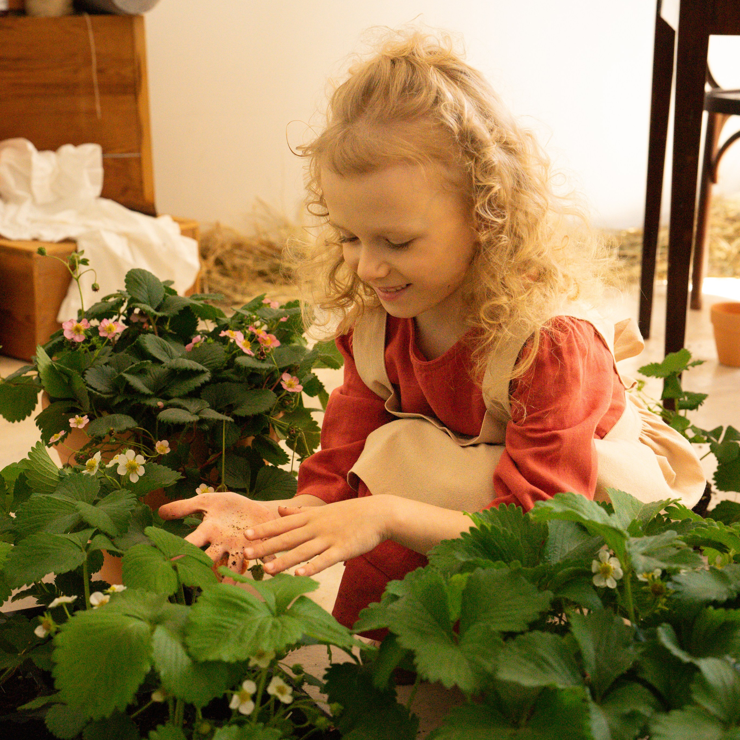 Маленькие садоводы