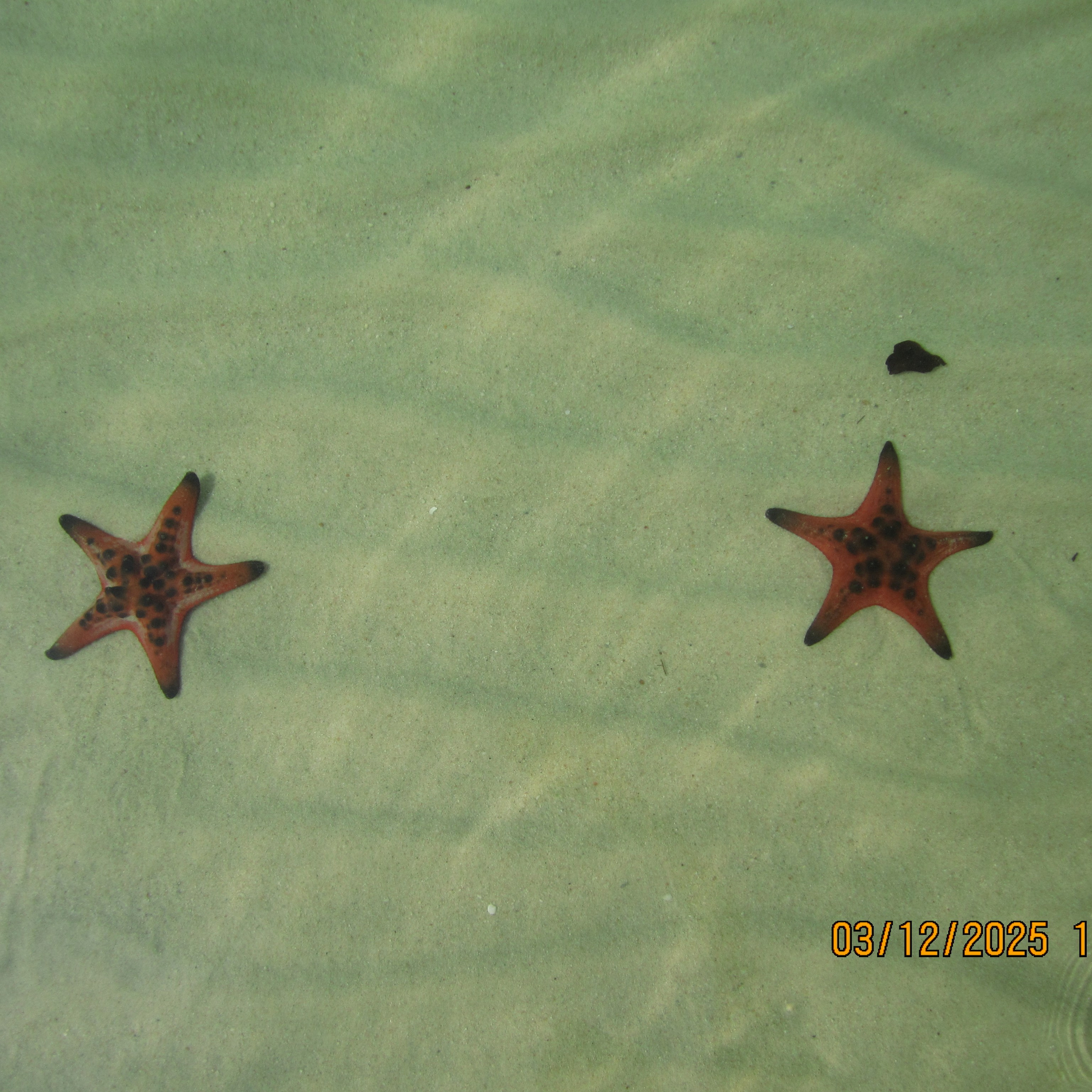 VIET NAM. LondoSpeed Photography