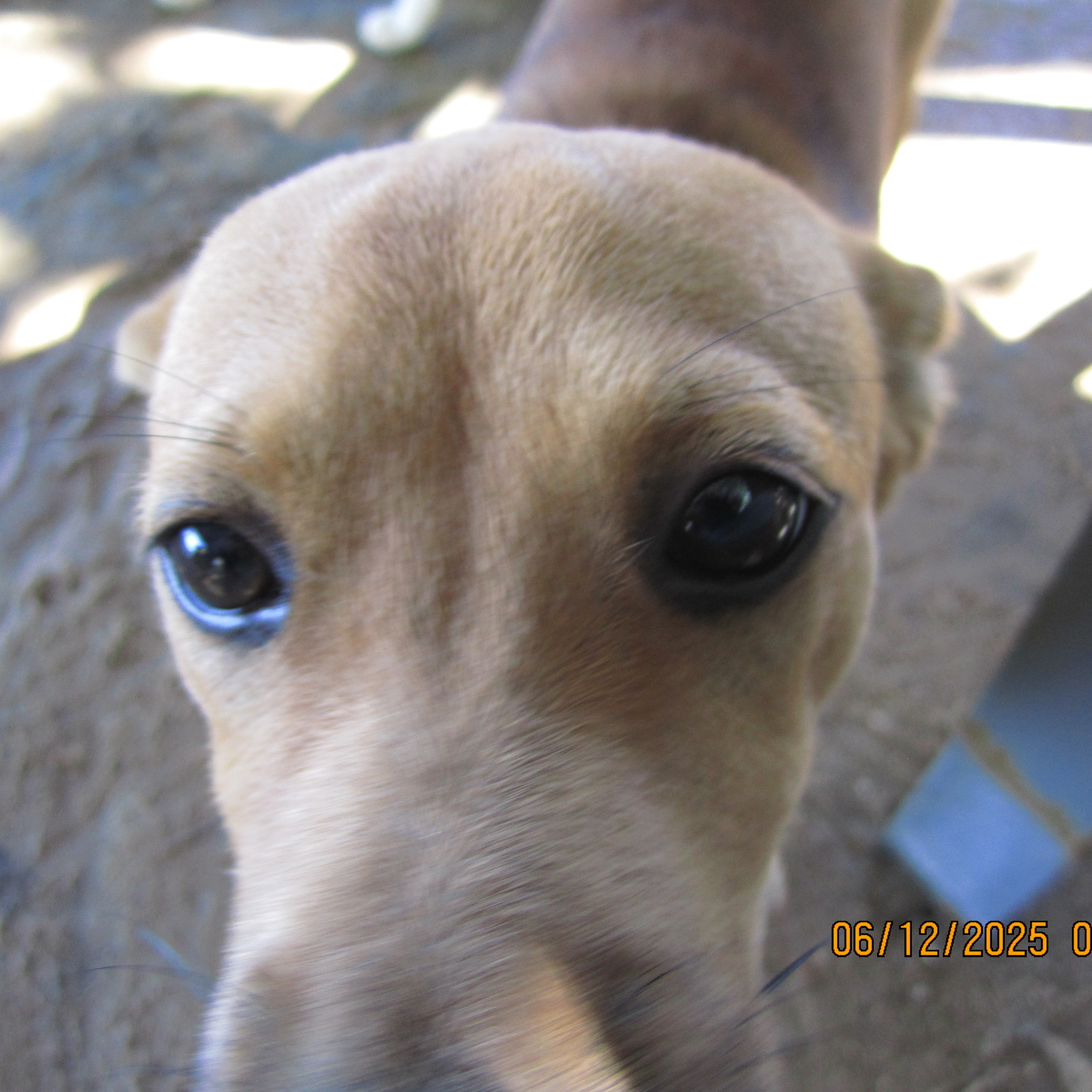 LondoSpeed Photography