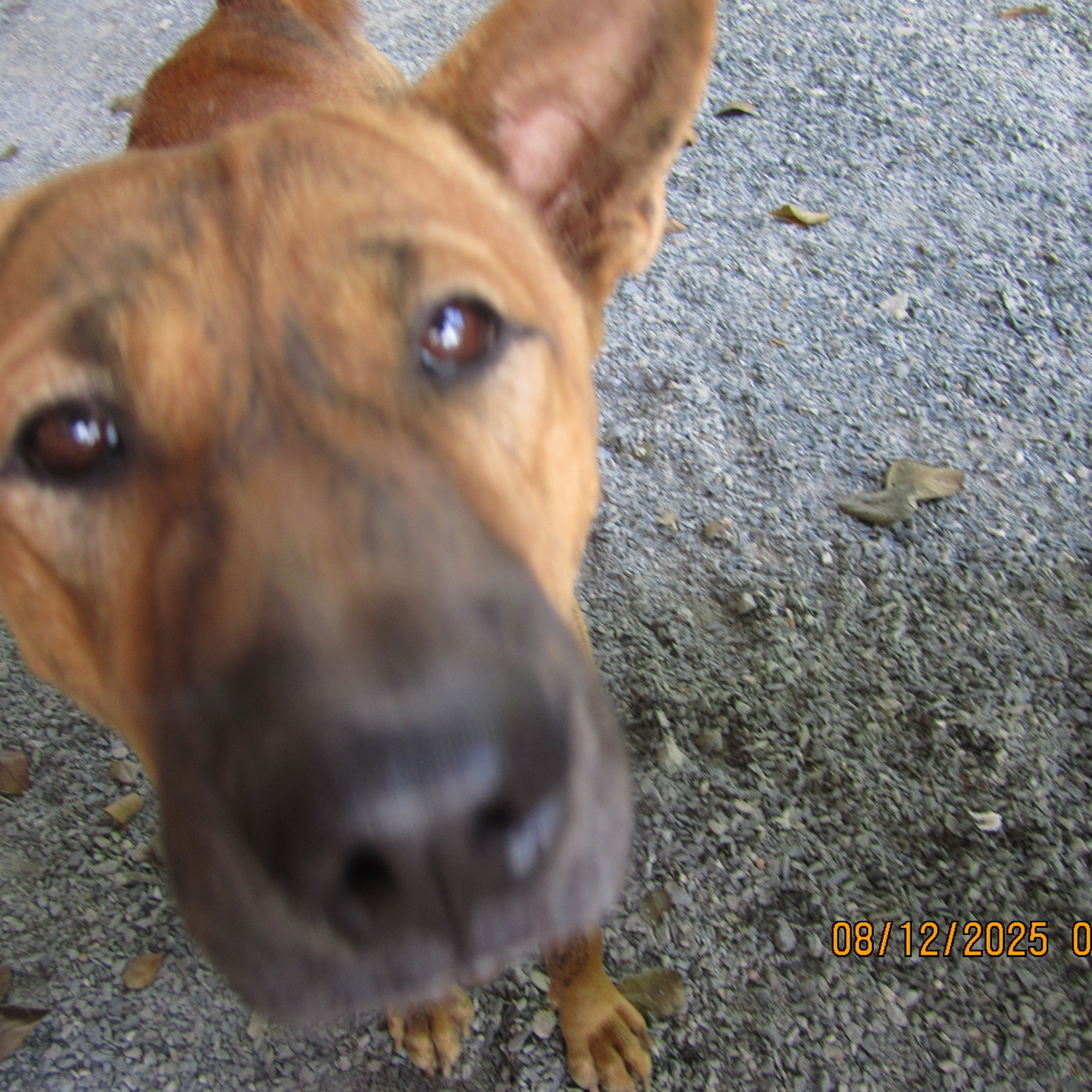 VIET NAM. LondoSpeed Photography