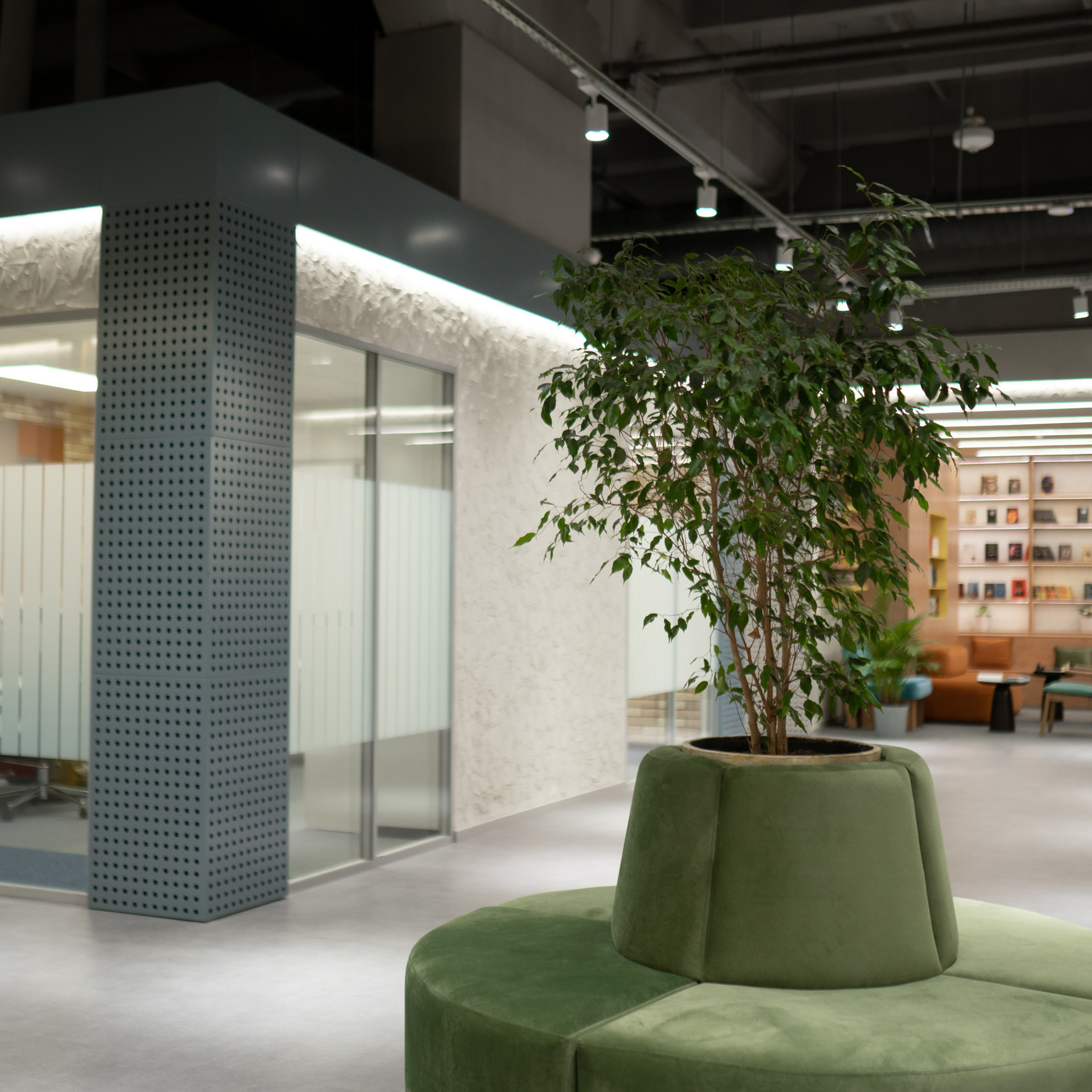 Отзывы. Mandarin.photo