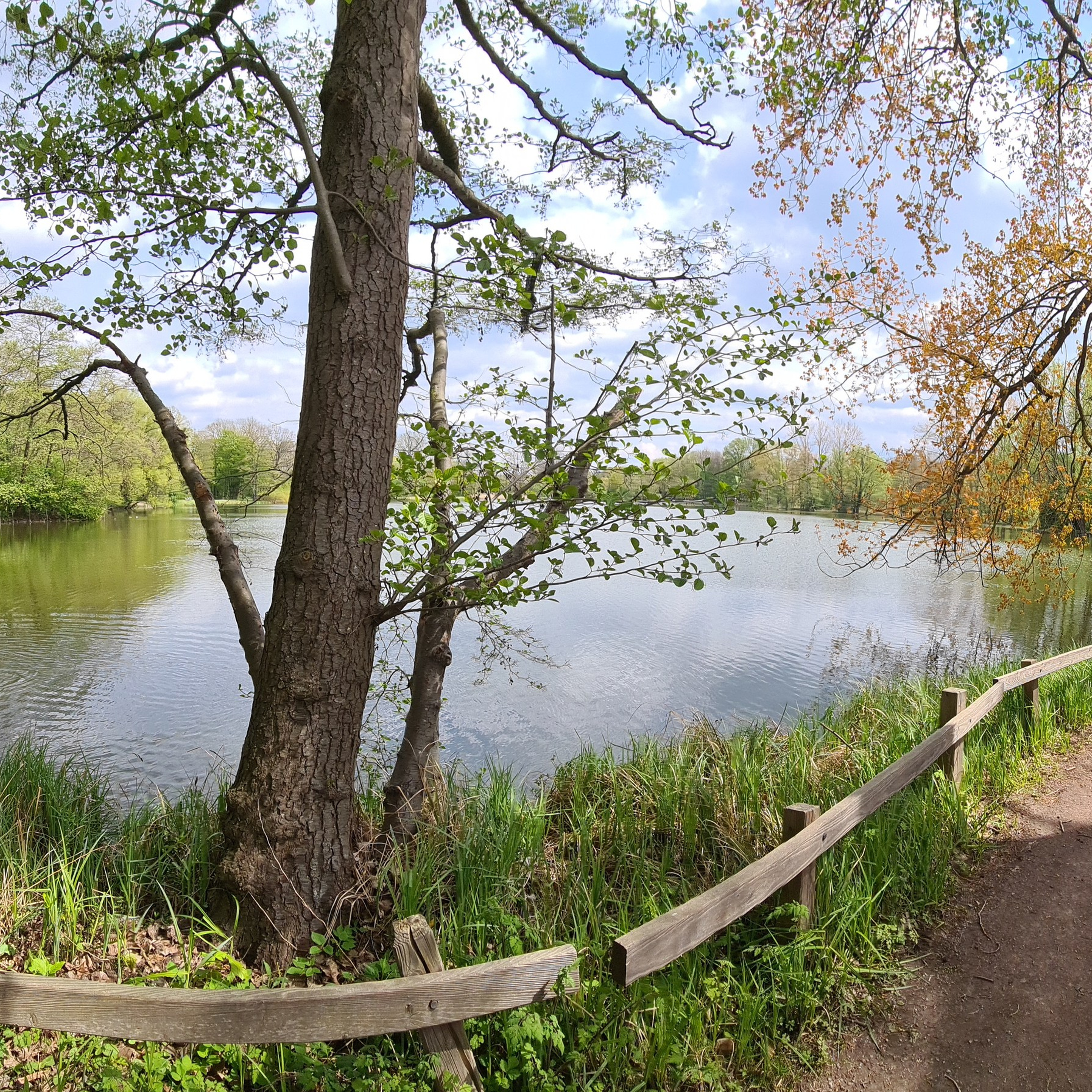 Ваш фотограф в Ганновере — Анатолий