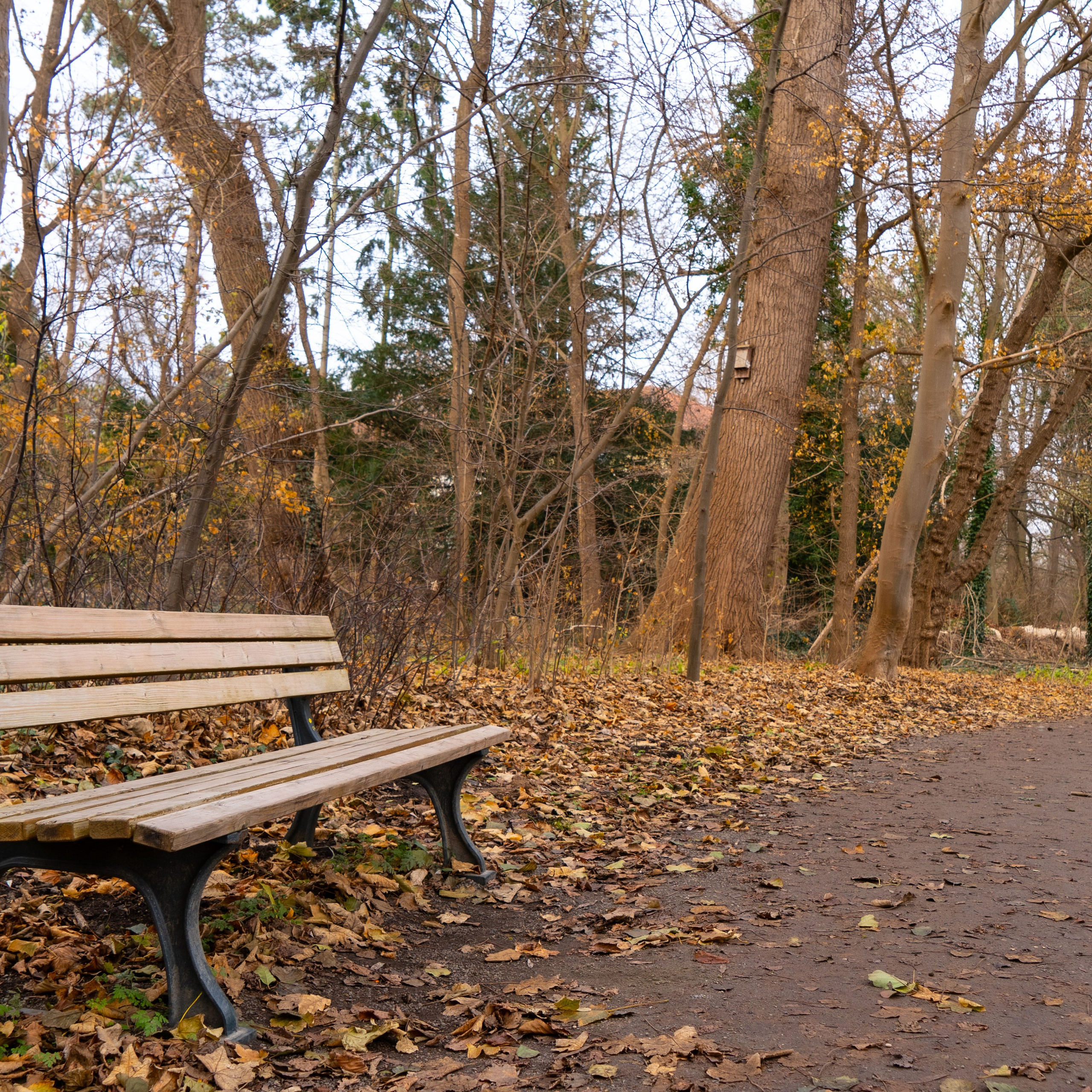 Parkbank, Annateich, Hermann-Löns-Park, Hannover