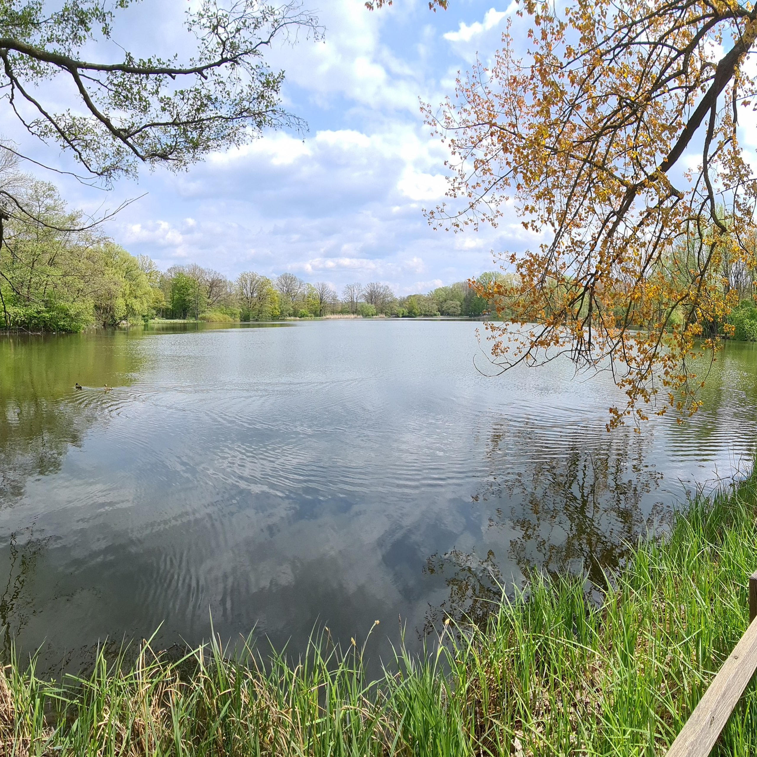 Ваш фотограф в Ганновере — Анатолий