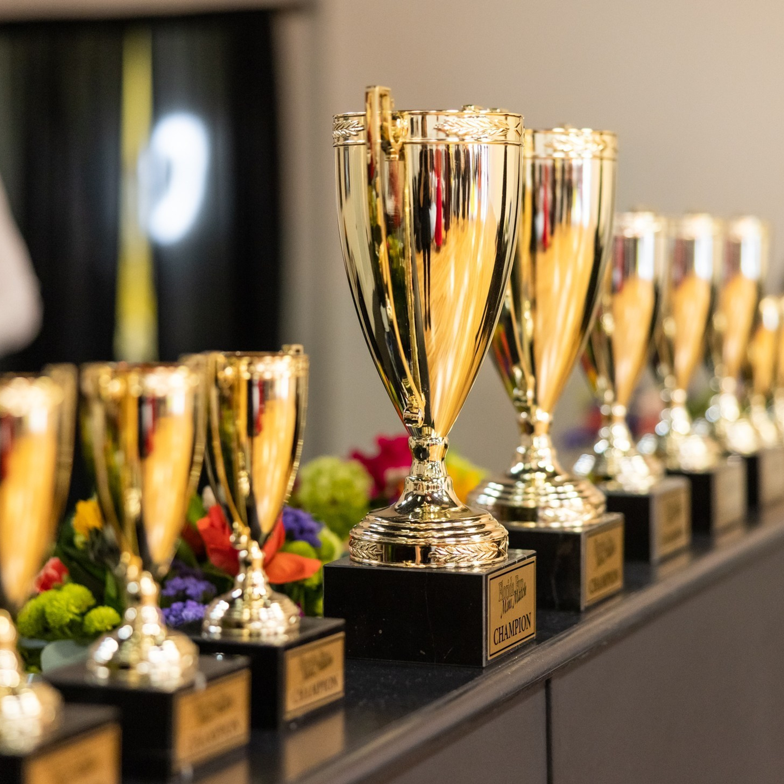 Reviews. Главная