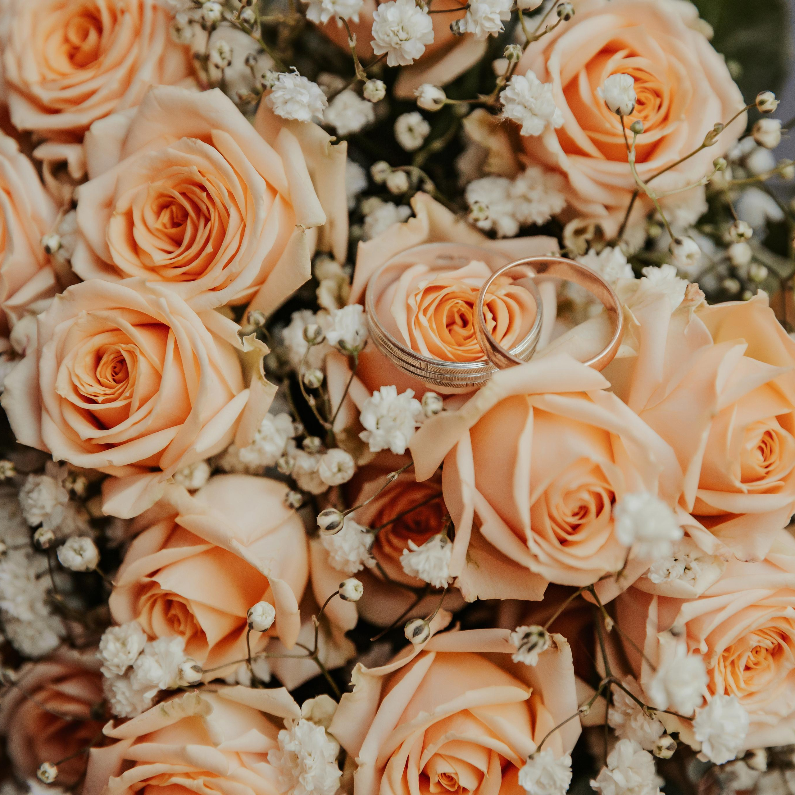 Atsauksmes. FOTOGRĀFS| LATVIJA |DAUGAVPILS|