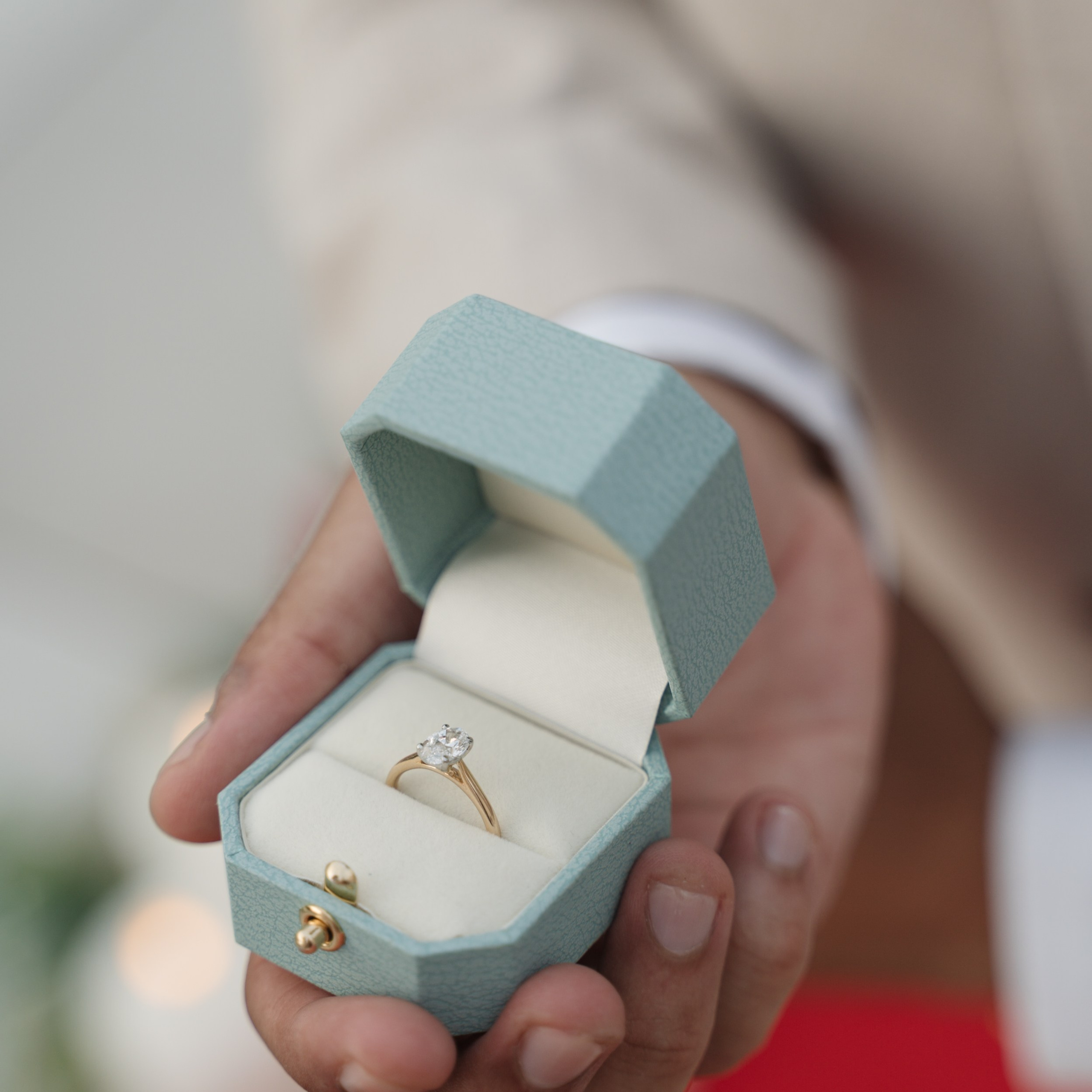 Lake Garda Rooftop Proposal
