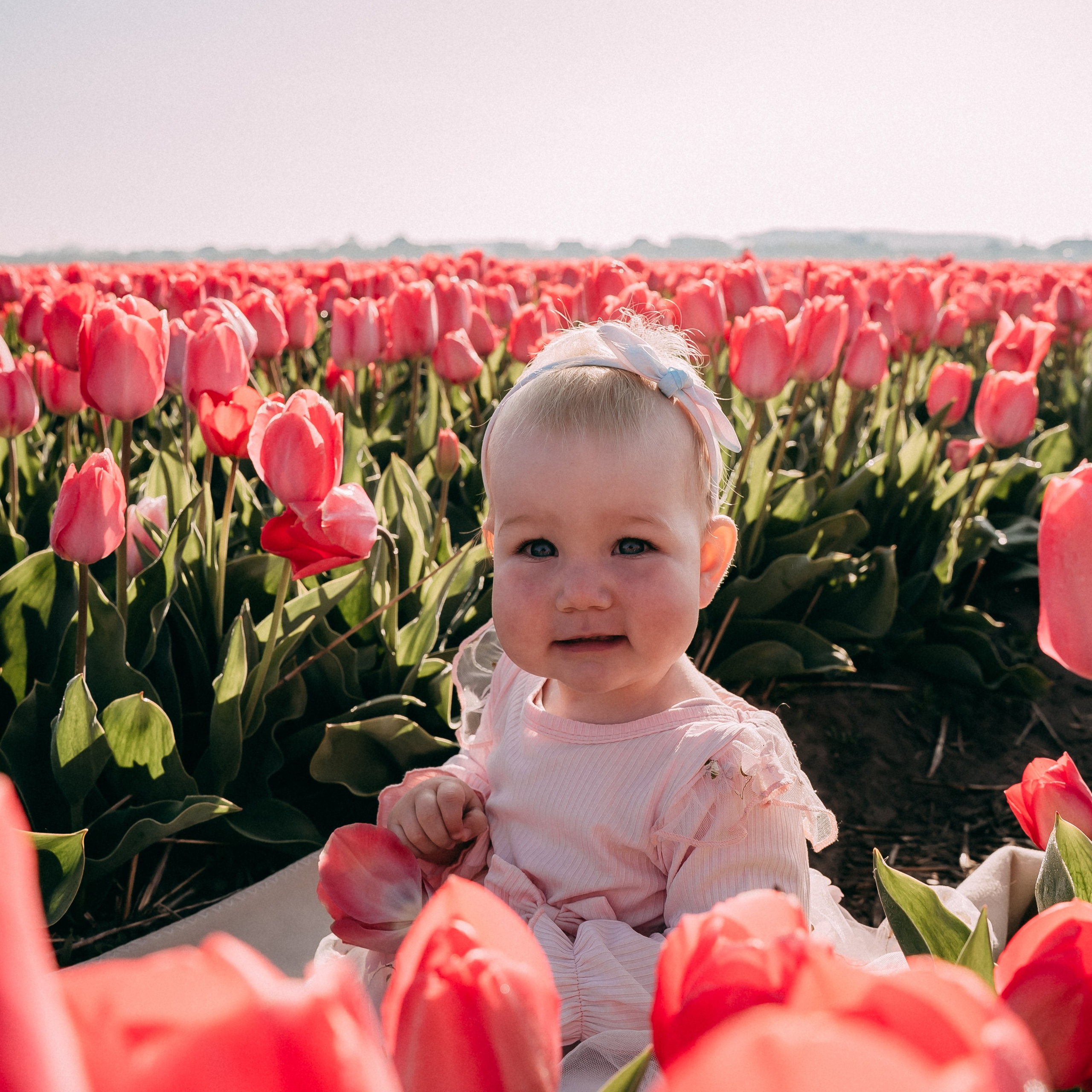 Families. Photographer Gouda, Rotterdam, Amsterdam, the Netherlands