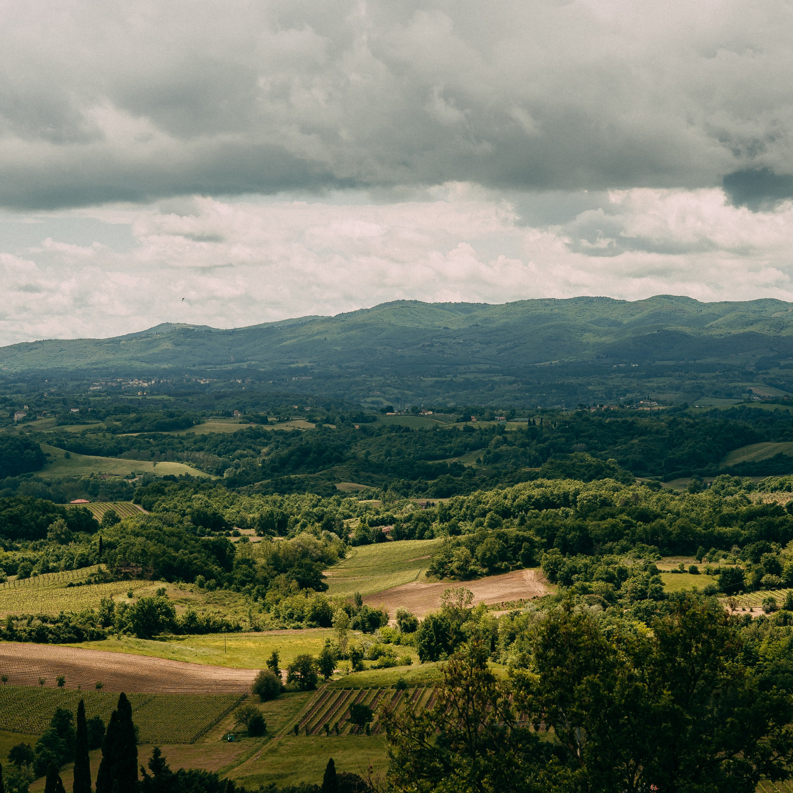 Gina & Jack. Photographer Gouda, Rotterdam, Amsterdam, the Netherlands