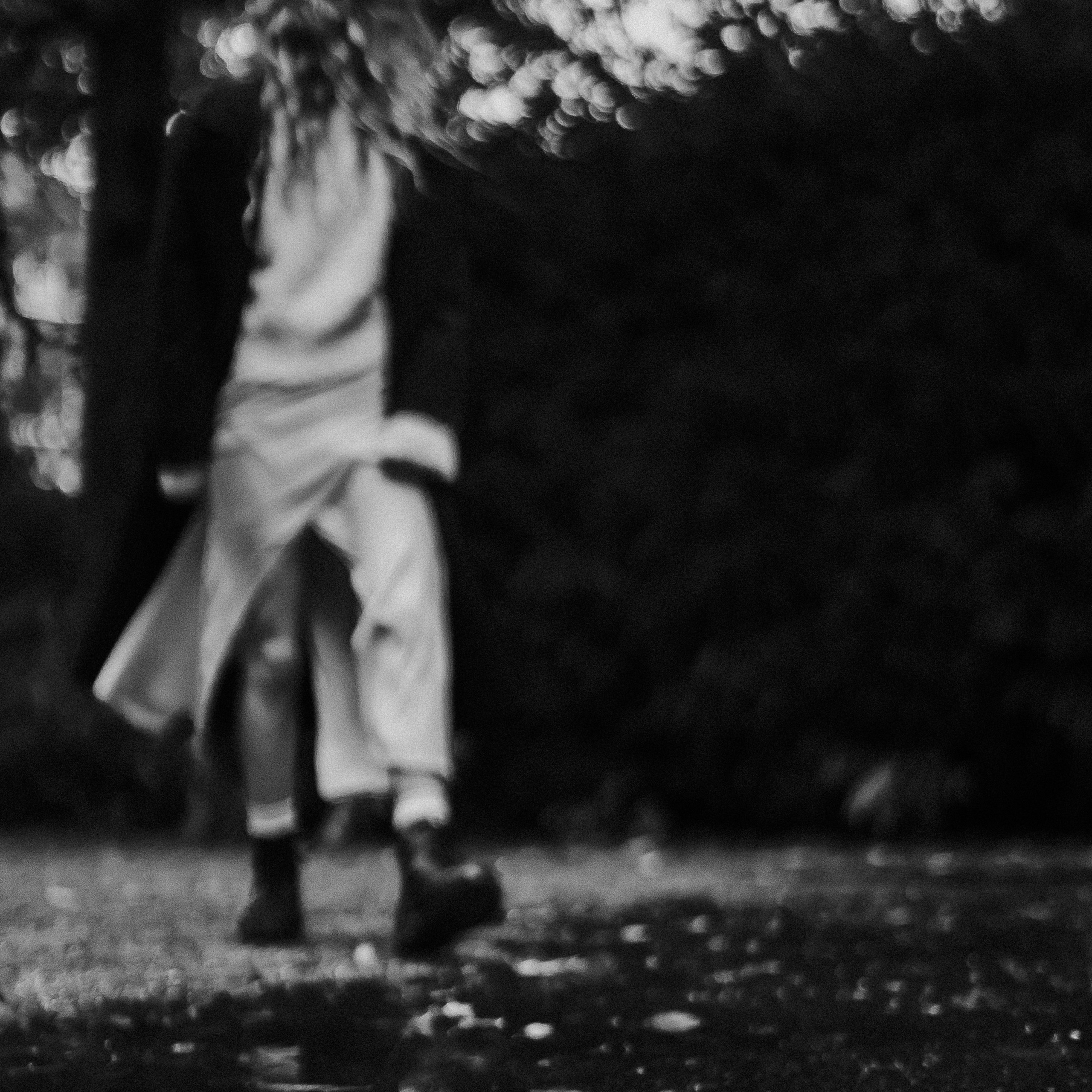 Portraits. Photographer Gouda, Rotterdam, Amsterdam, the Netherlands