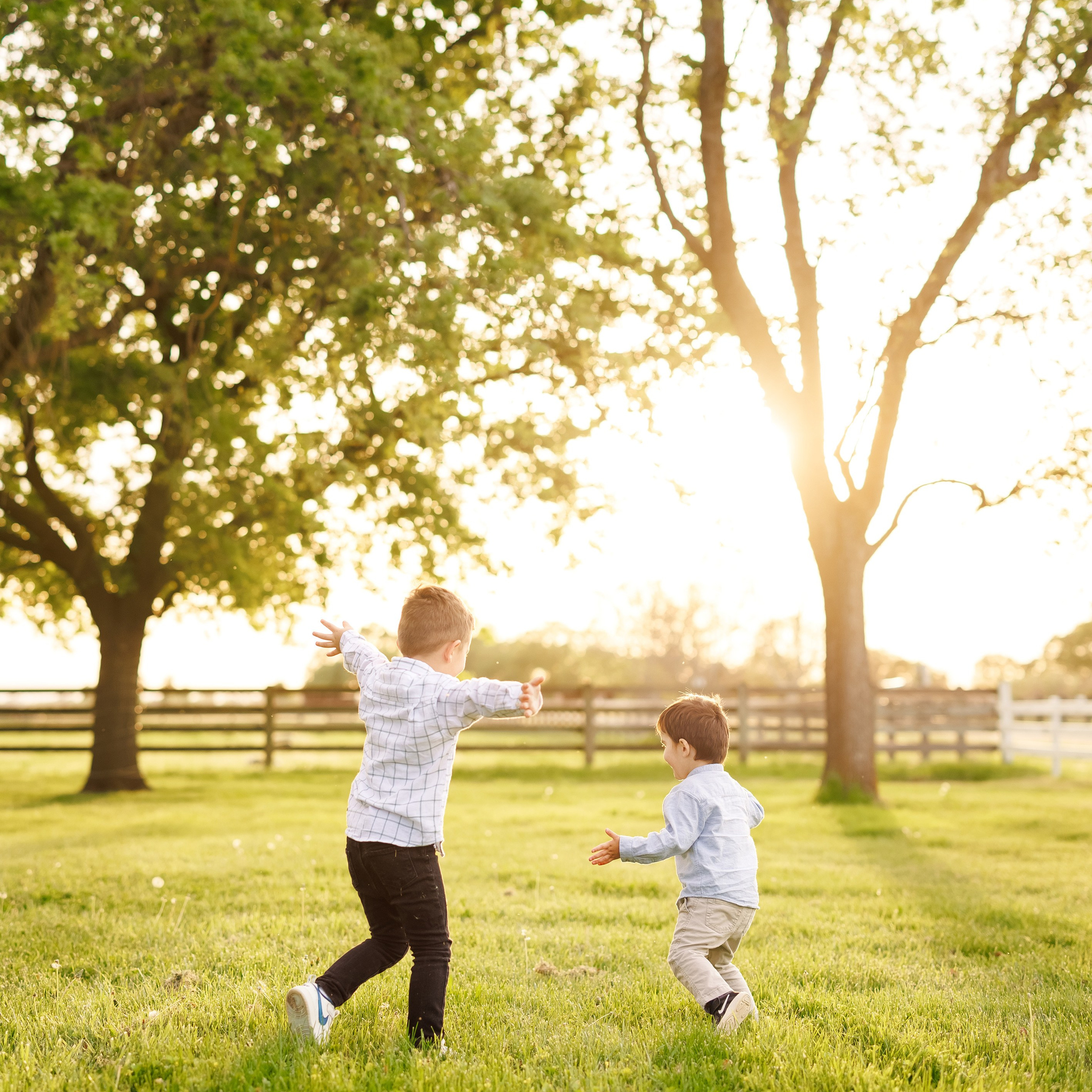 Testimonials. ArtFeather Photography. Sacramento, California