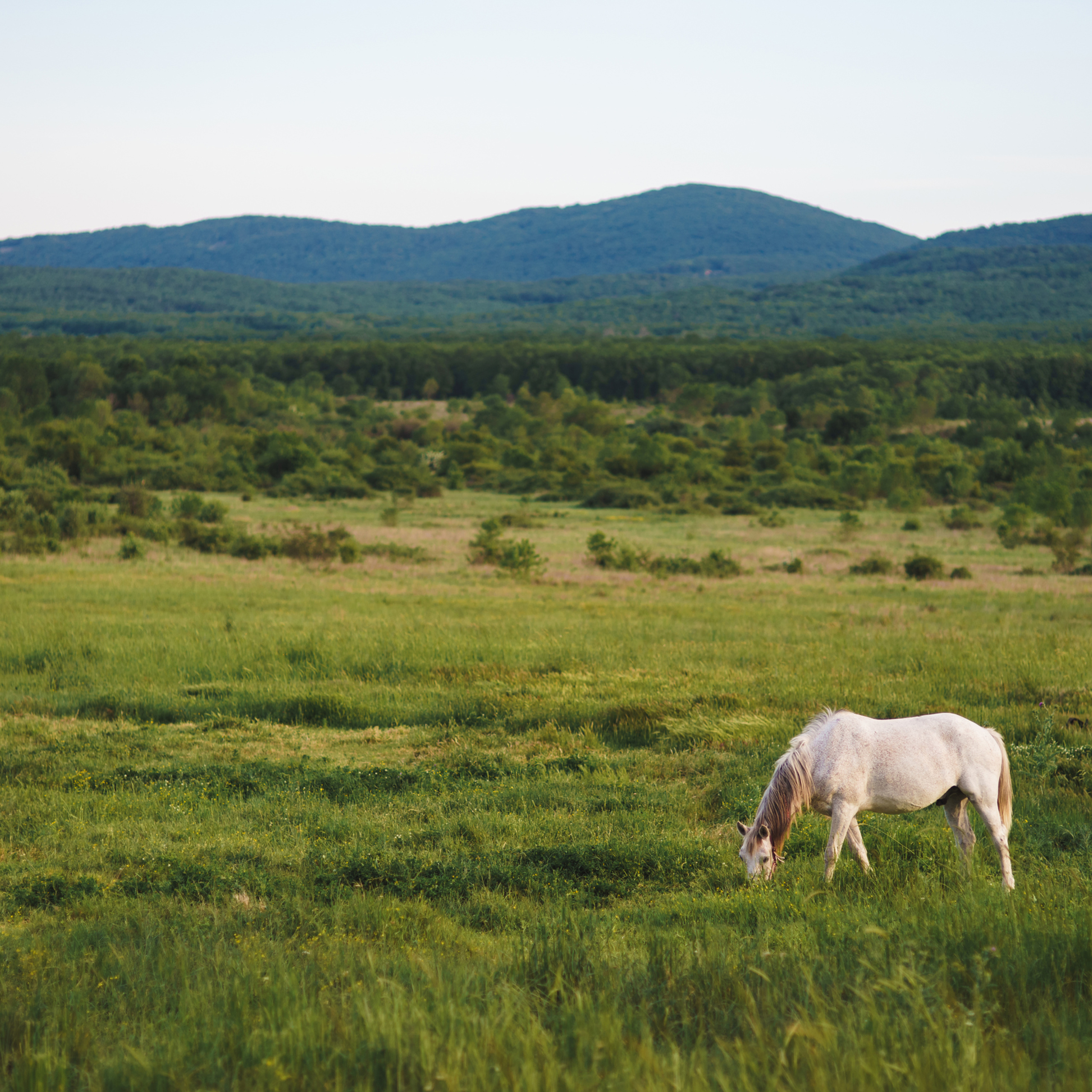 Bewertungen. Fotograf in Bulgarien Katerina Zubkova