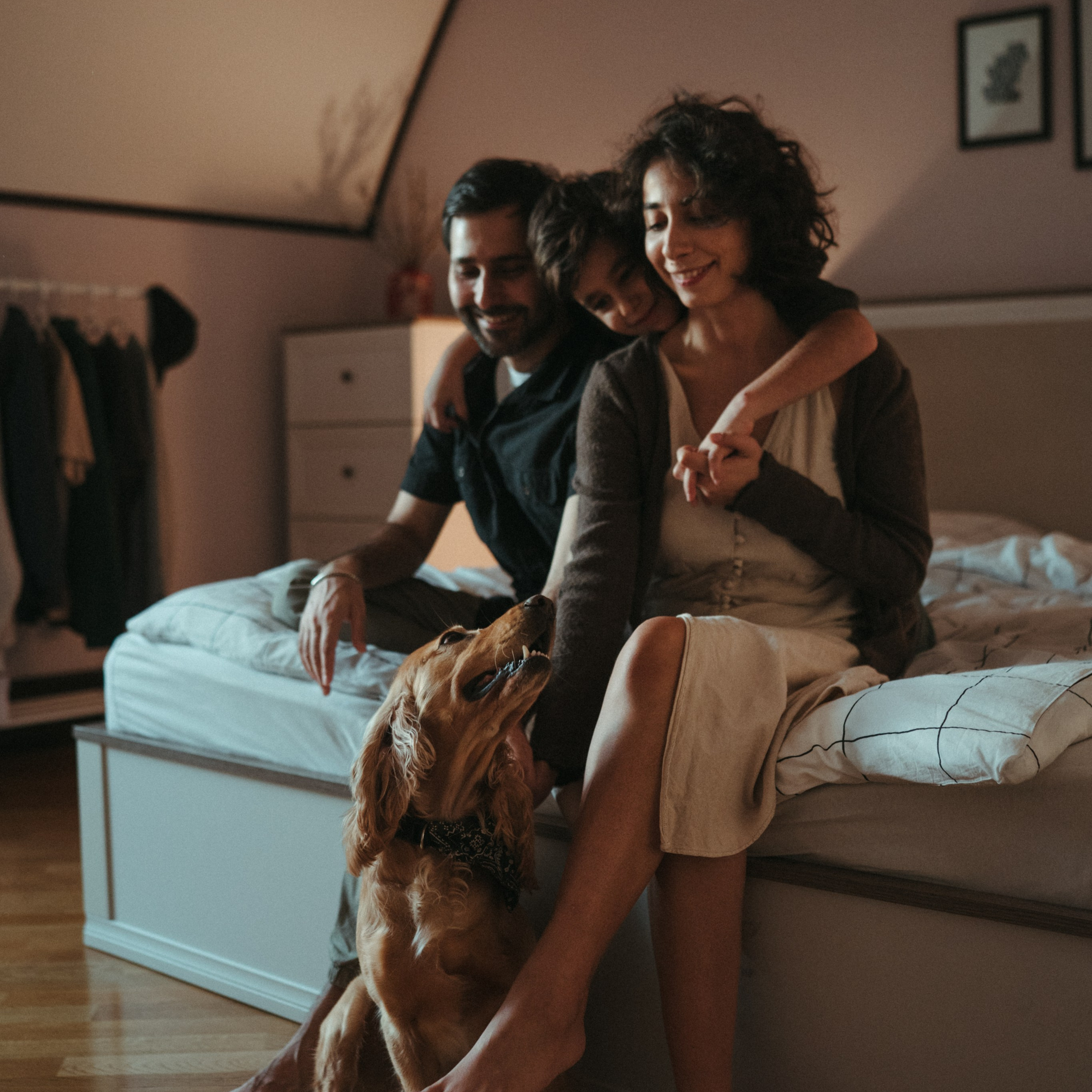 Seyrana, Raul and Rauf