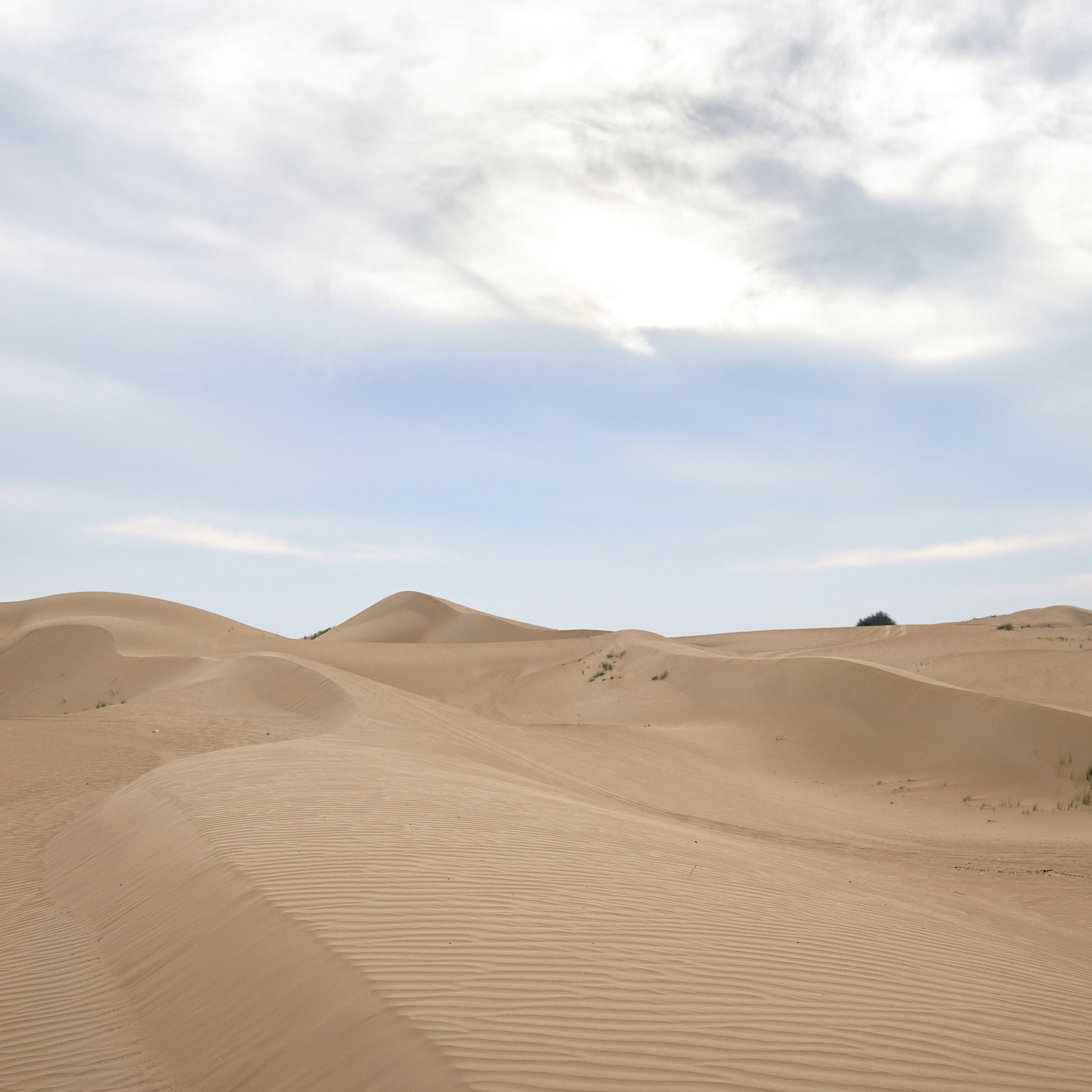 Testimonials. Female Photographer in Dubai