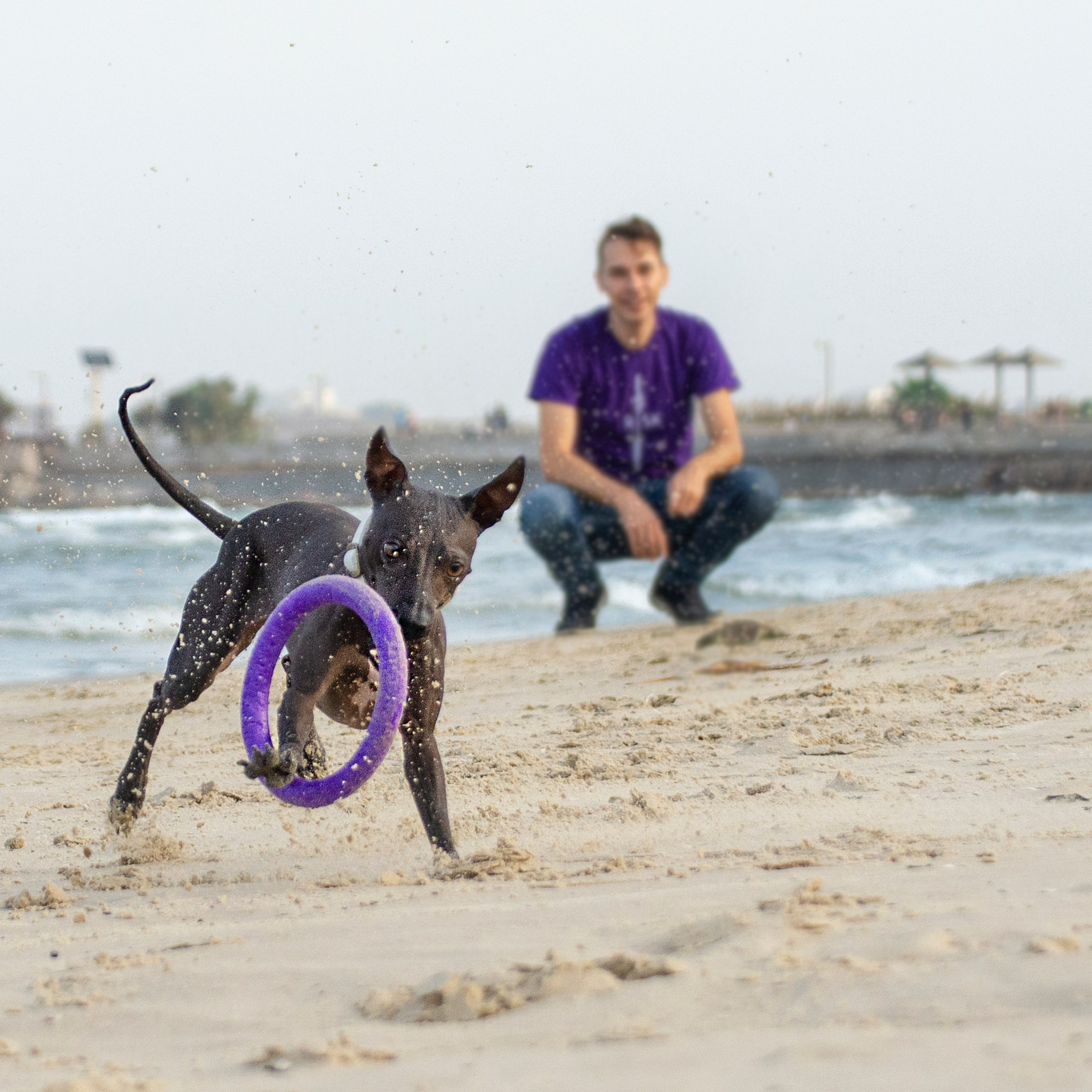 Александр и Бель. צלמת משפחה בישראל ויקטוריה וייזר