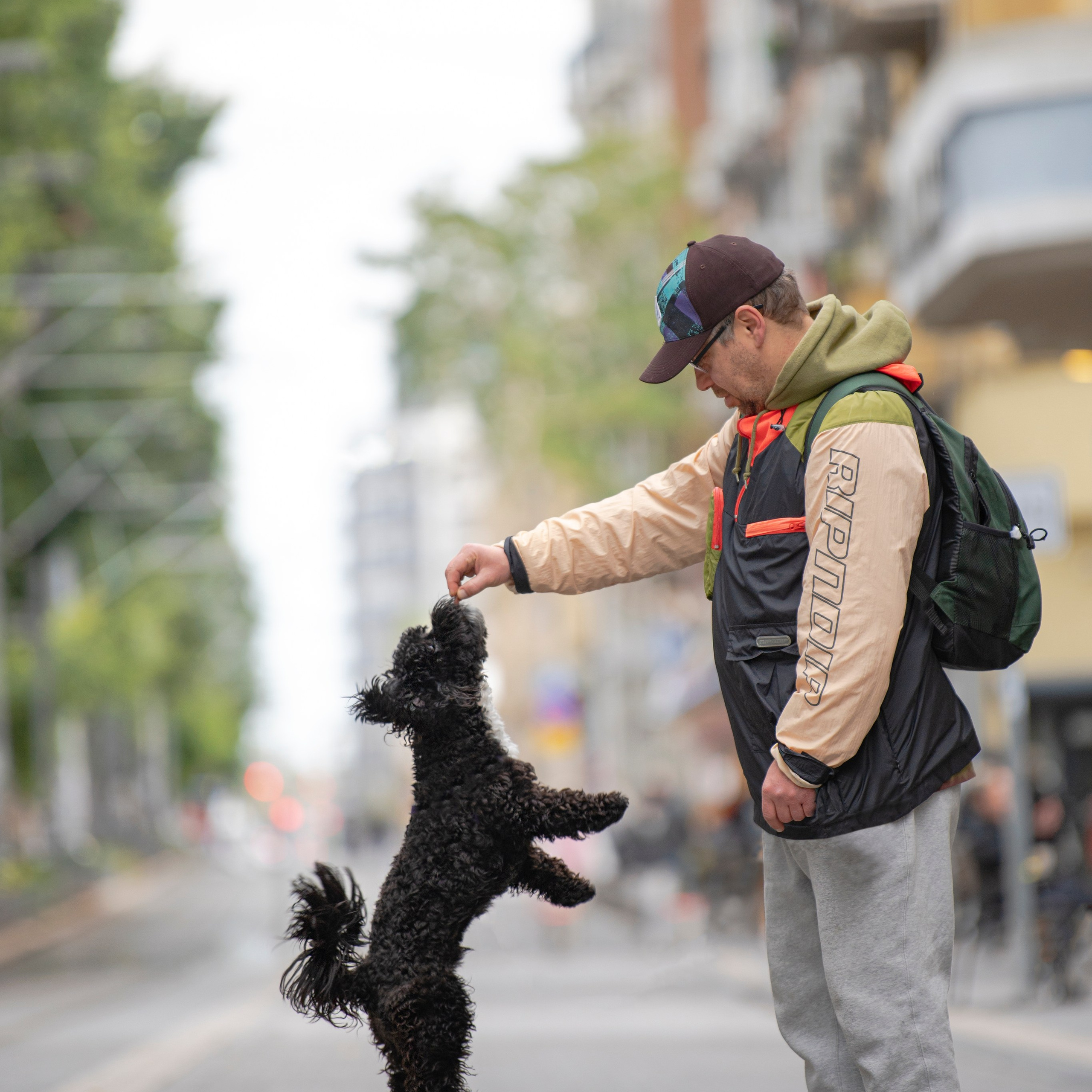 Василий и Лулу. צלמת משפחה בישראל ויקטוריה וייזר