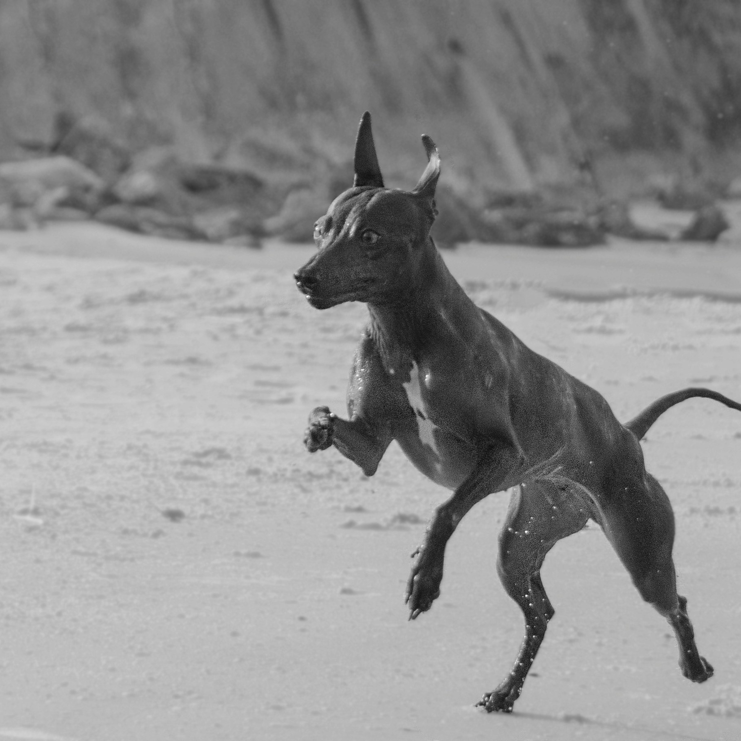 Александр и Бель. צלמת משפחה בישראל ויקטוריה וייזר