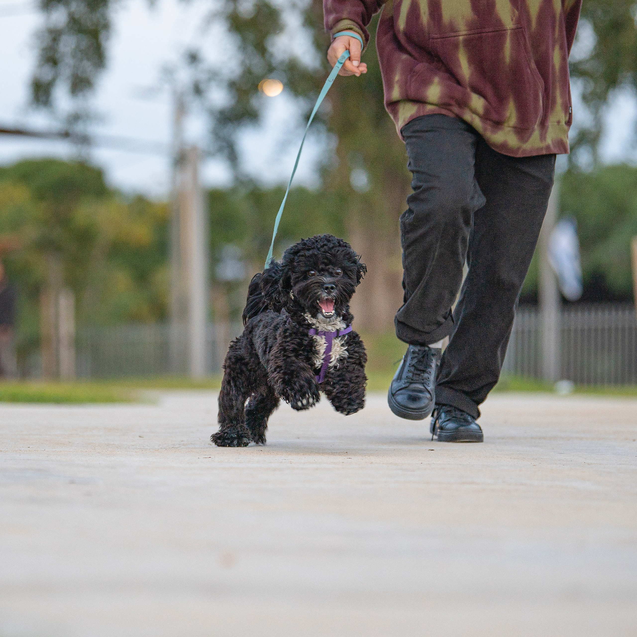 Василий и Лулу. צלמת משפחה בישראל ויקטוריה וייזר