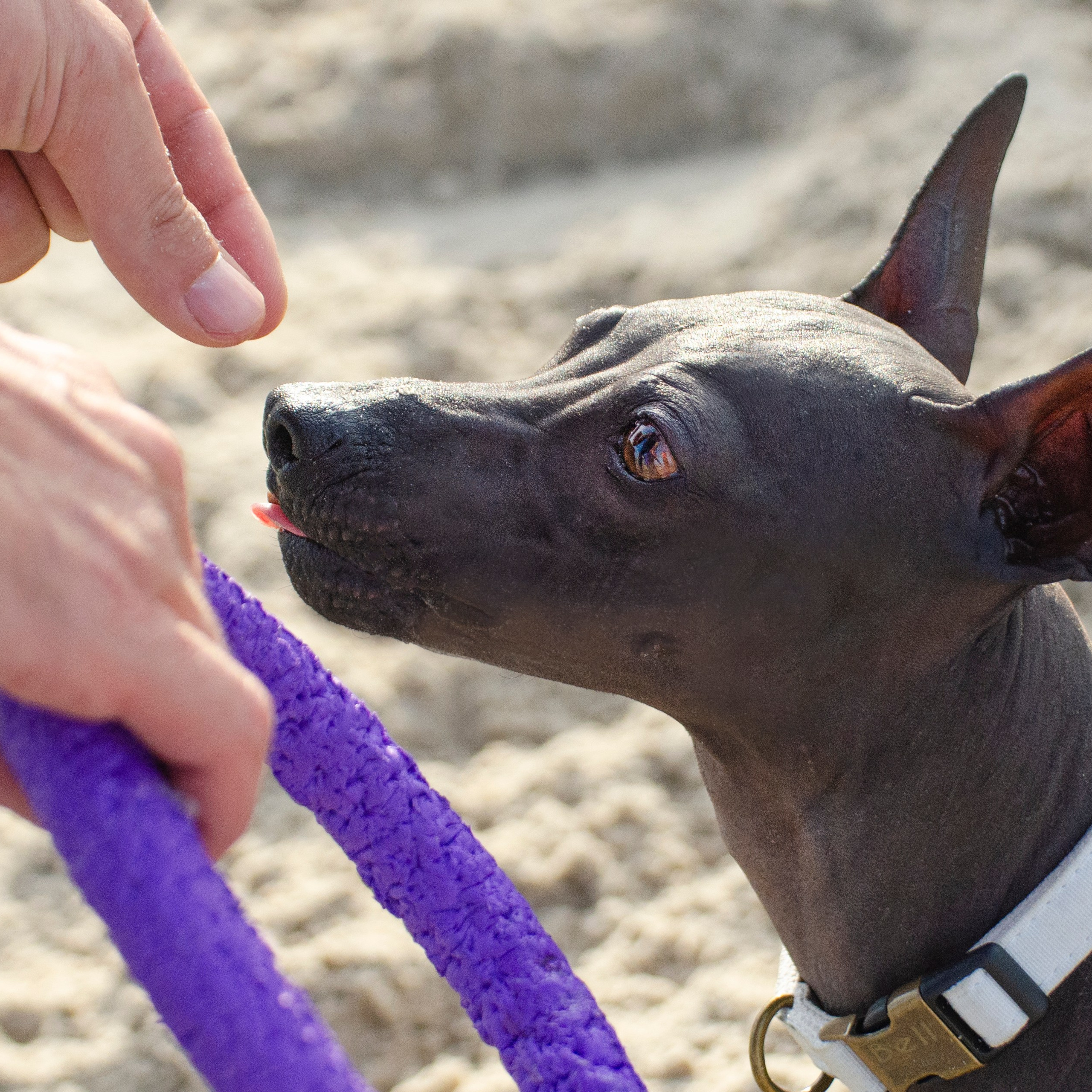 Александр и Бель. צלמת משפחה בישראל ויקטוריה וייזר