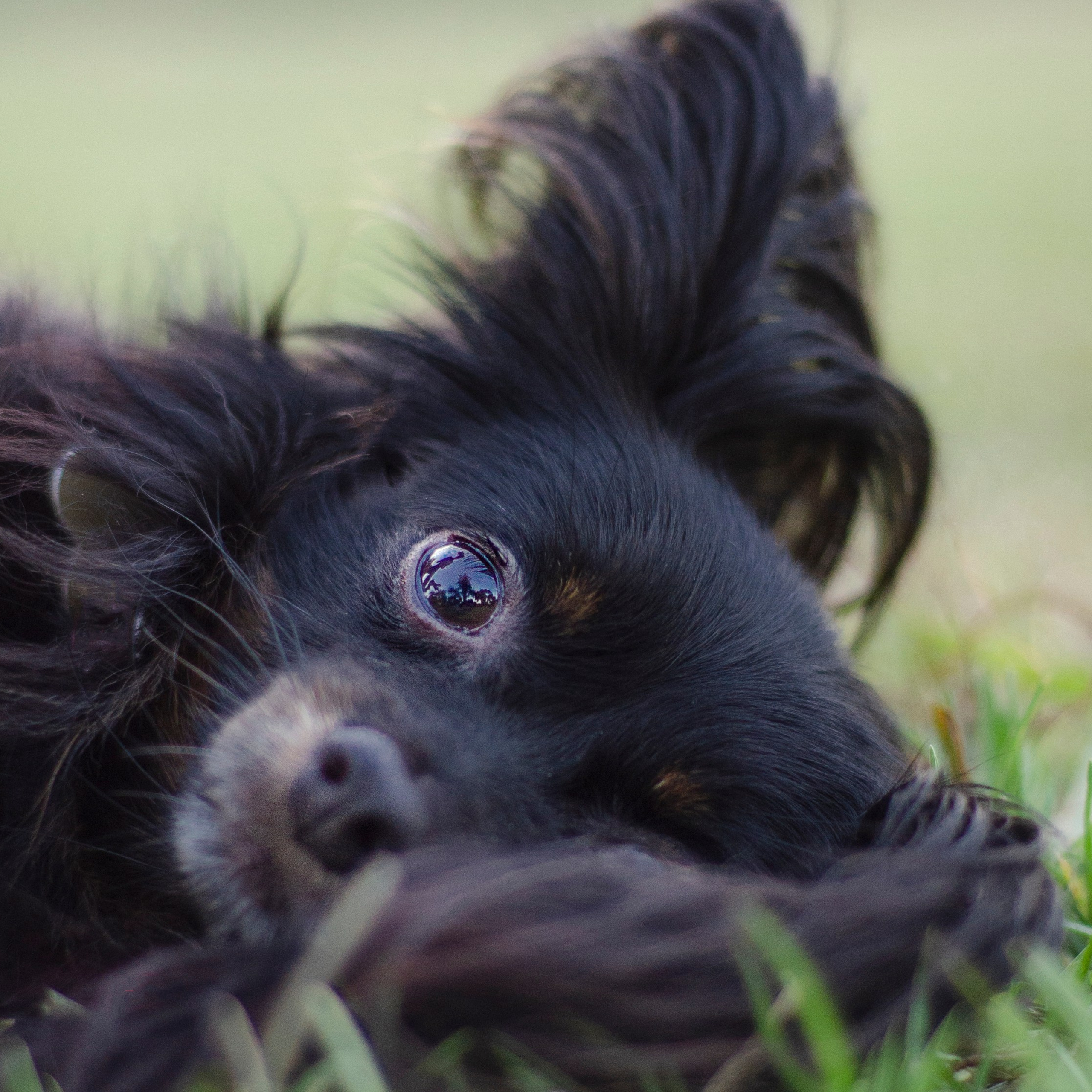 Семейный фотограф в Израиле Виктория Вайзер
