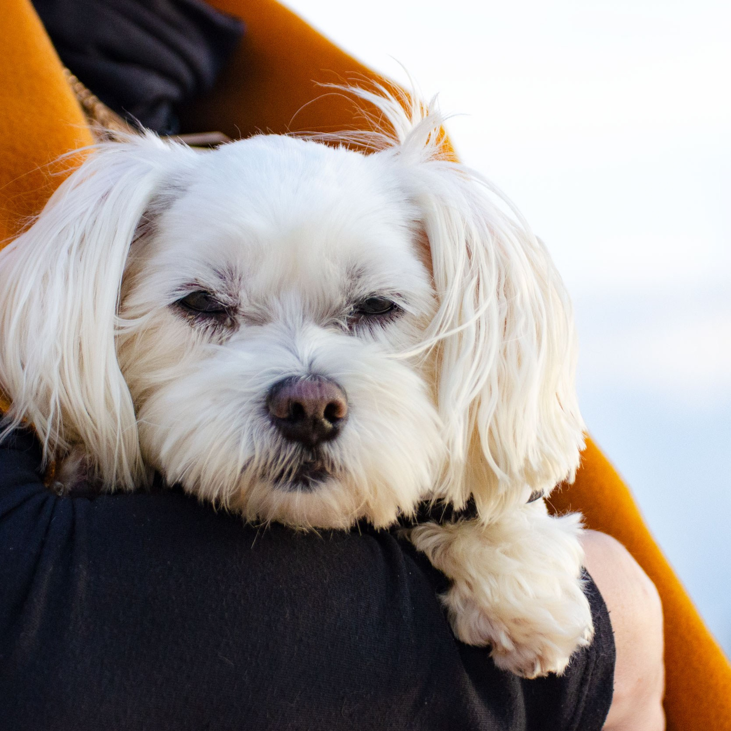Наталья и Лолин. Семейный фотограф в Израиле Виктория Вайзер