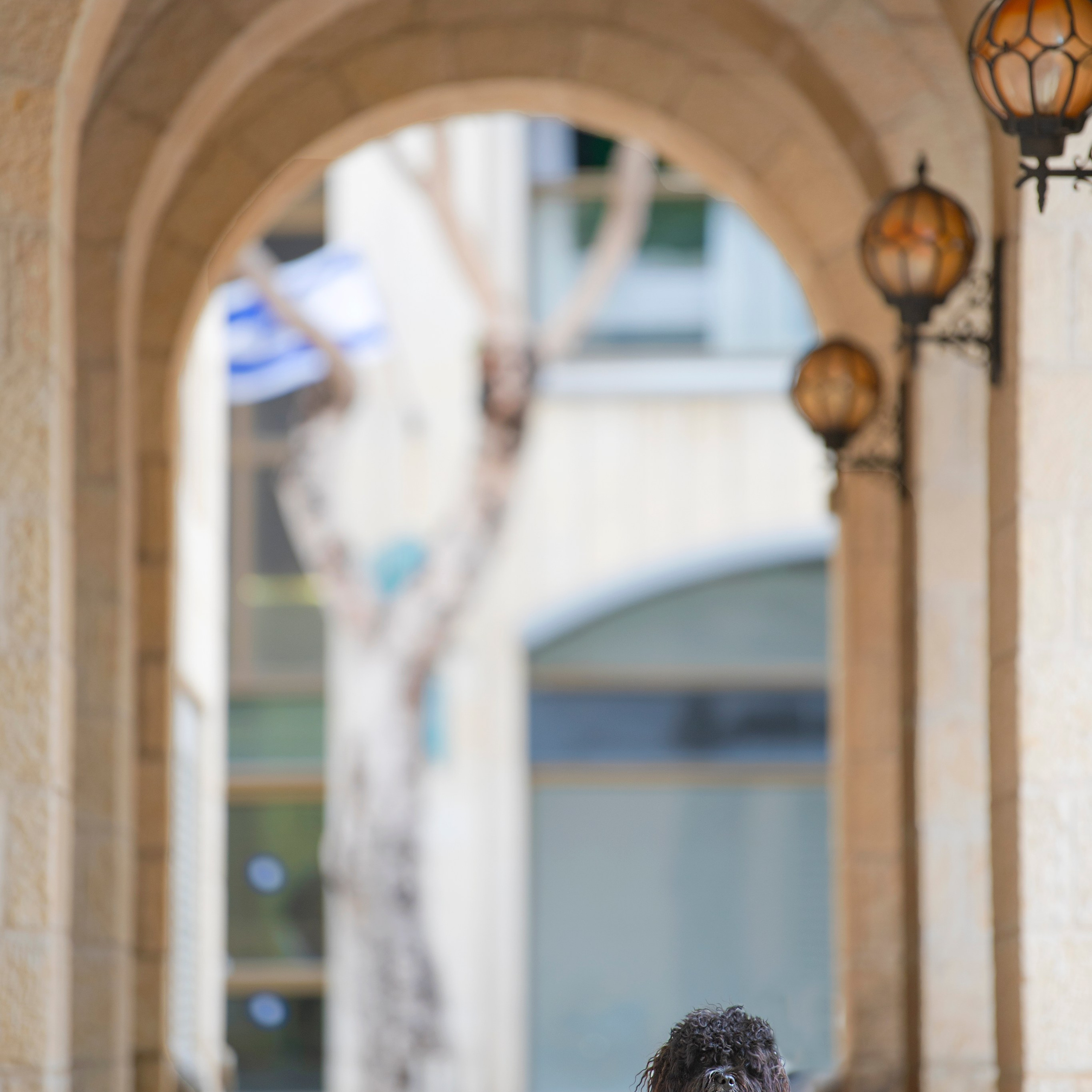 Василий и Лулу. צלמת משפחה בישראל ויקטוריה וייזר