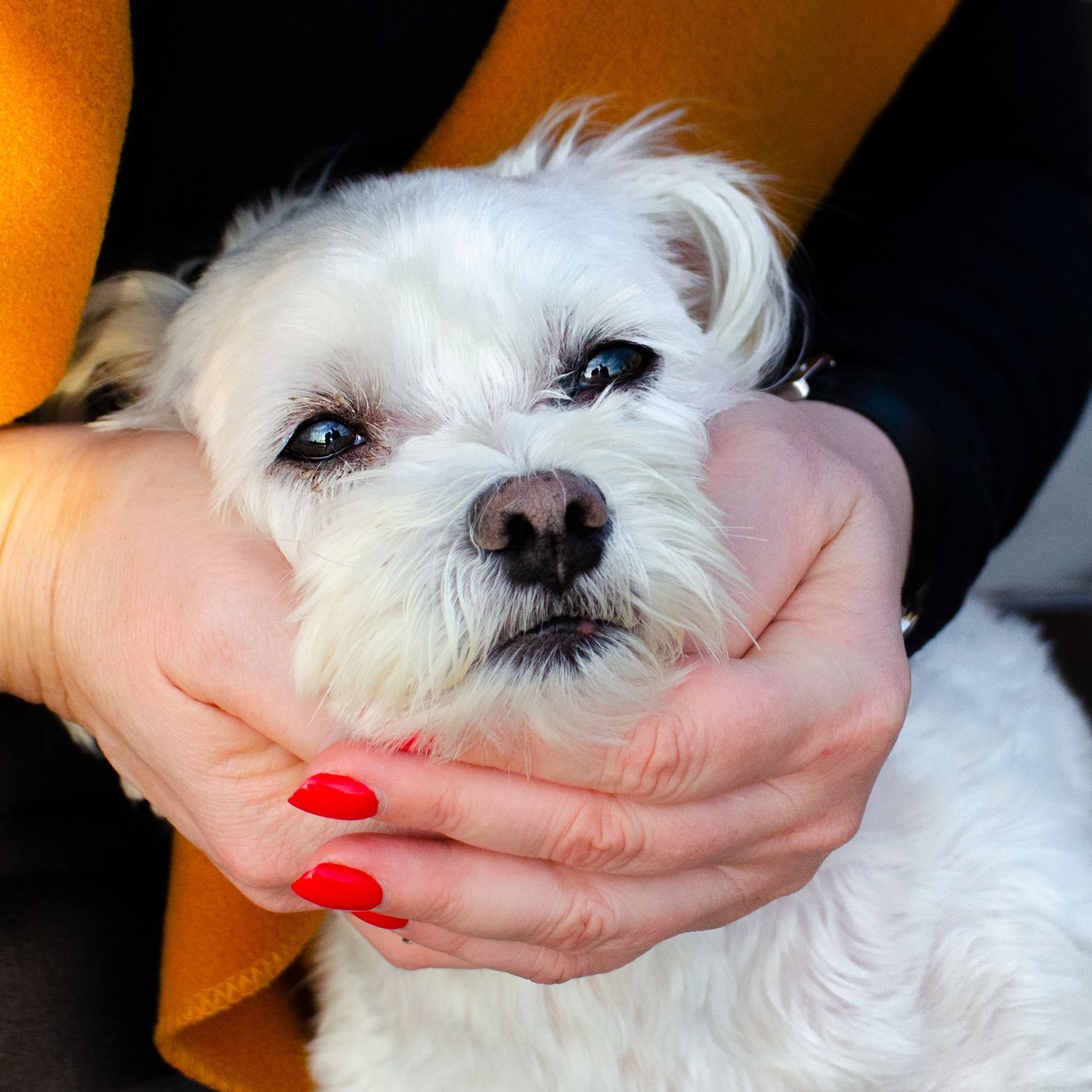 Наталья и Лолин. Семейный фотограф в Израиле Виктория Вайзер