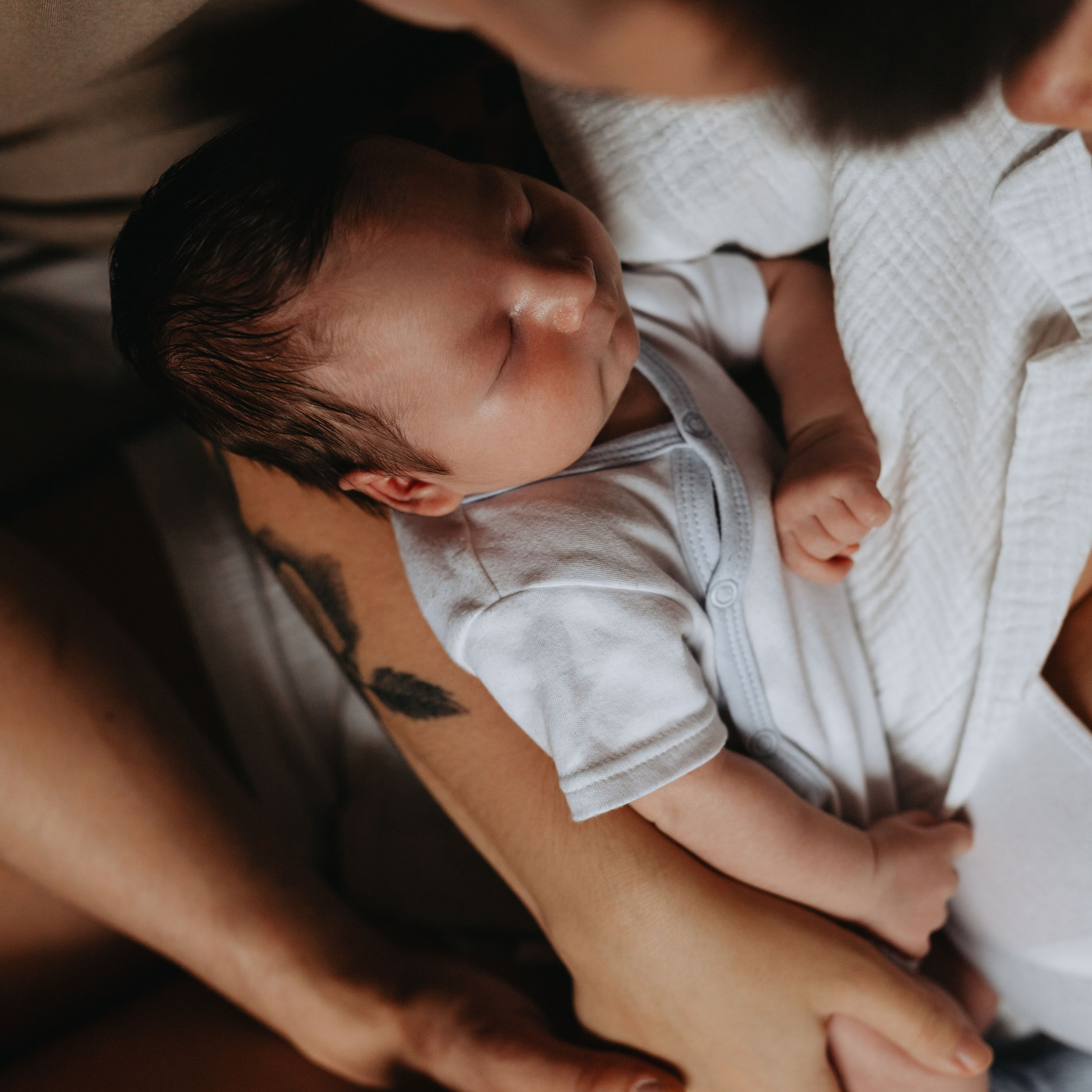 Pierwsza sesja Franka