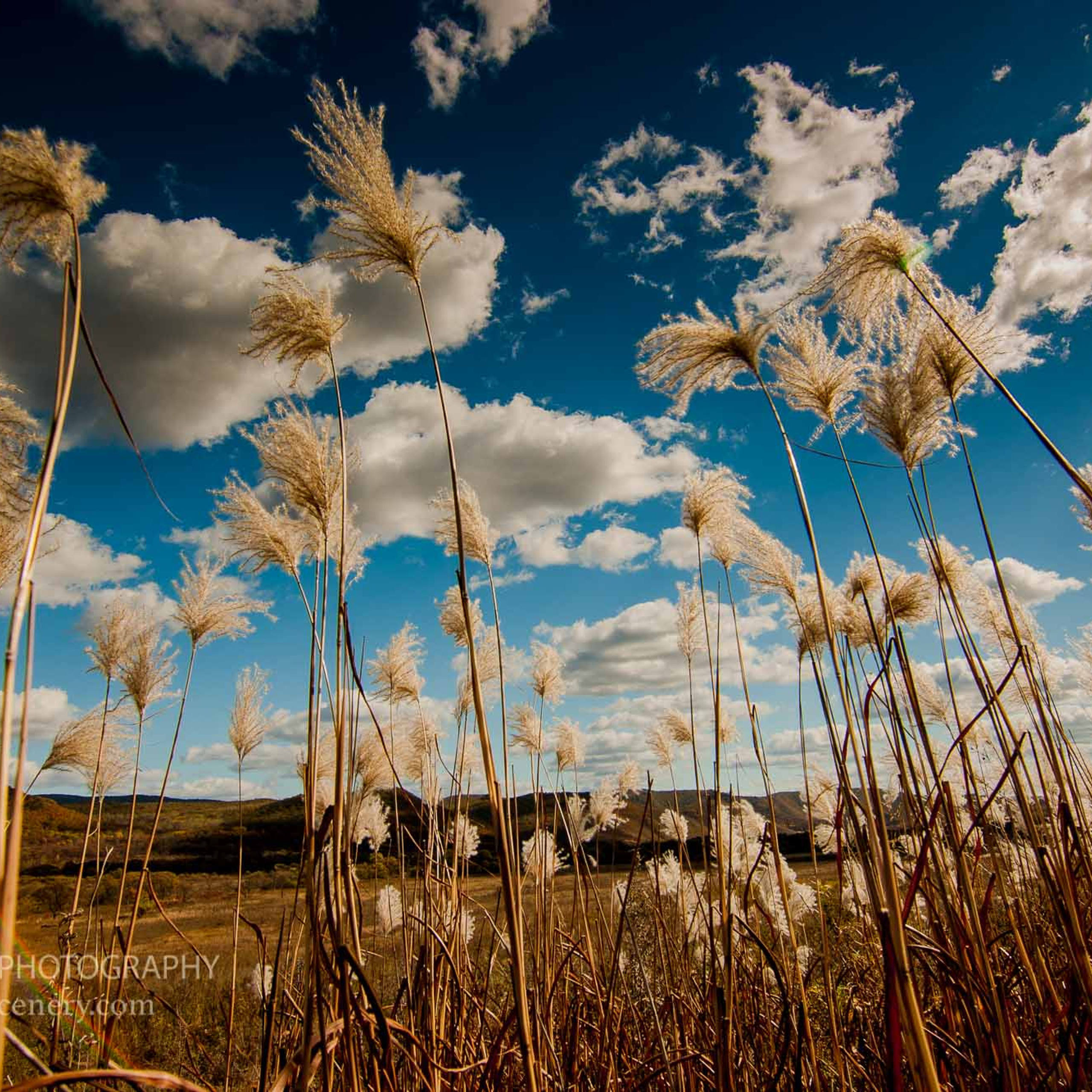 Newcastle trip. Denis Darkin scenic photography
