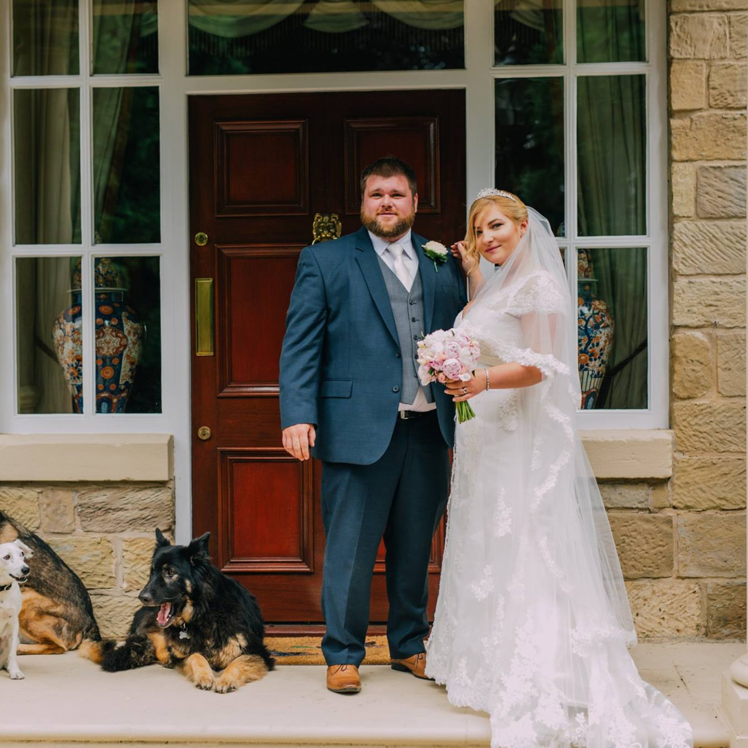 dogs and weddings