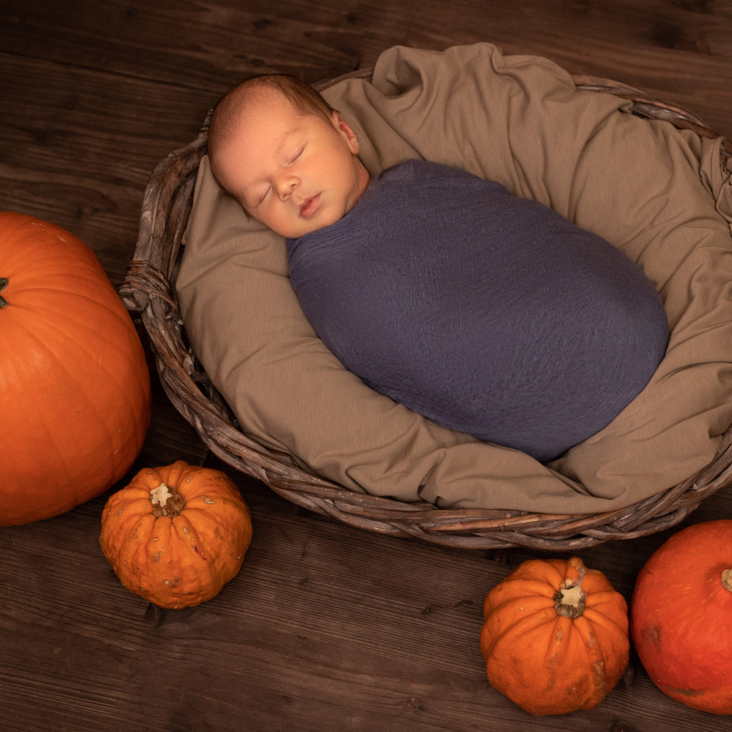 Bewertungen. Fotografen in Wien