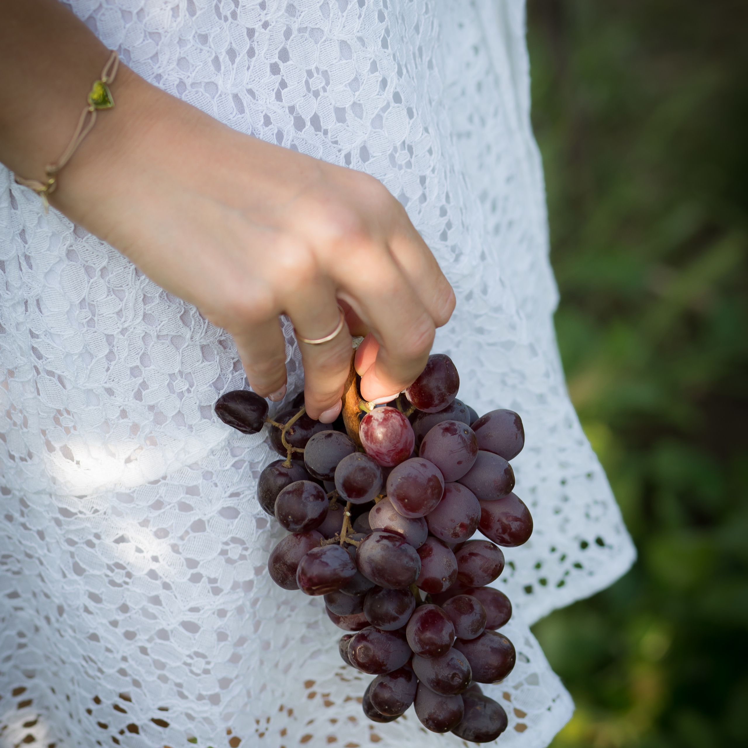 Bewertungen. Fotografen in Wien