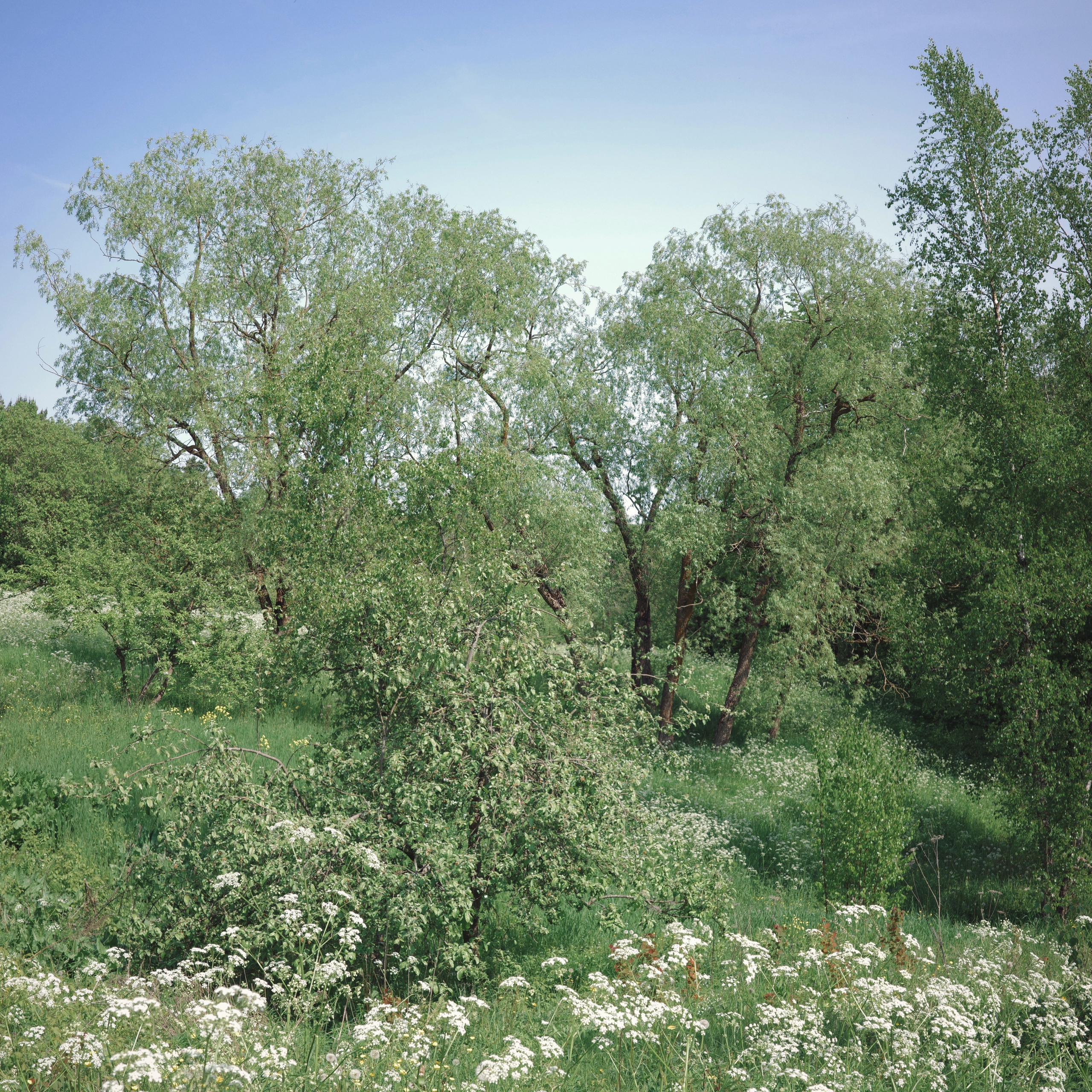 Stories. Artjom Kutuzov Photography