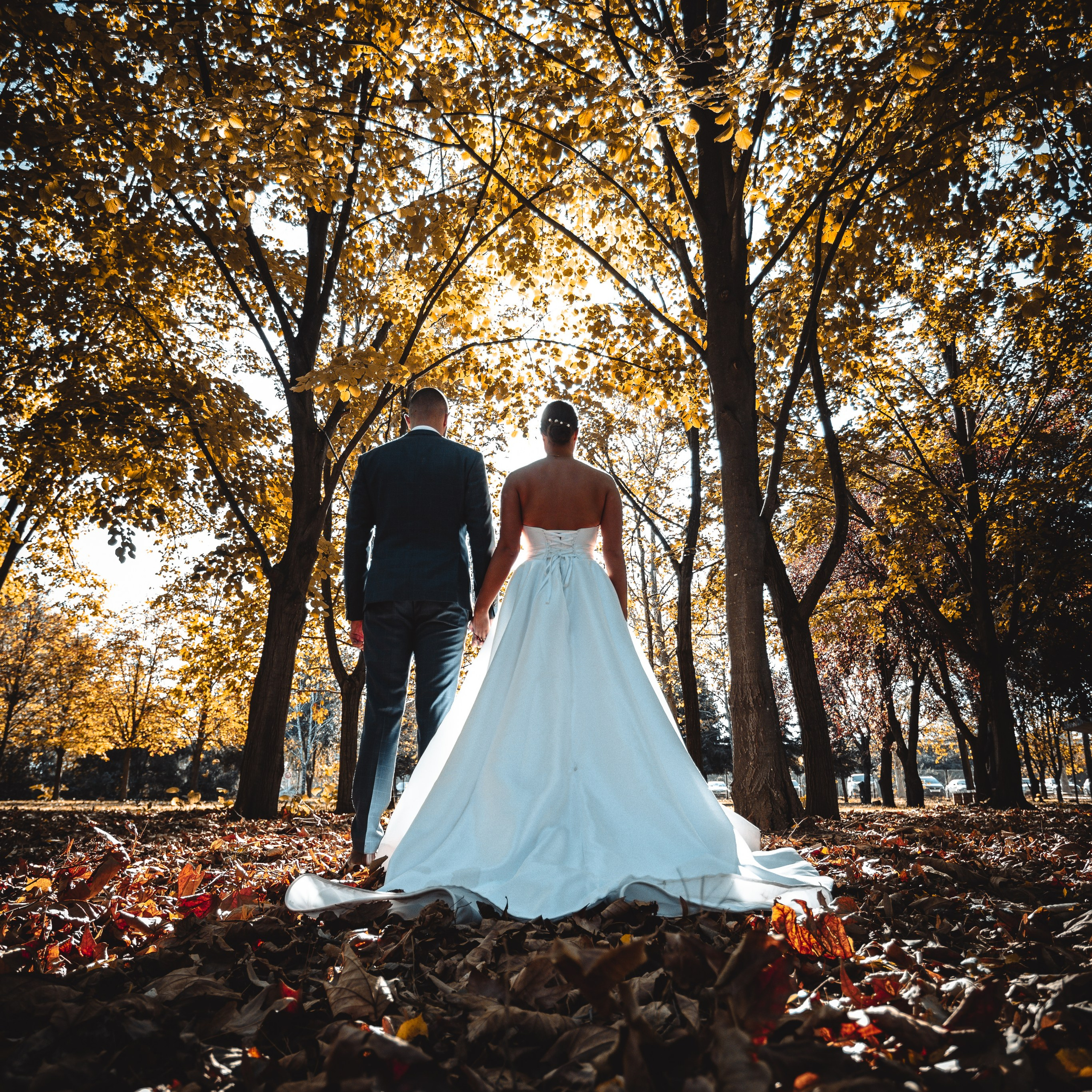 Utisci klijenata kojima smo fotografisali vencanje. Profesionalni fotograf za venčanja – Milan Luković