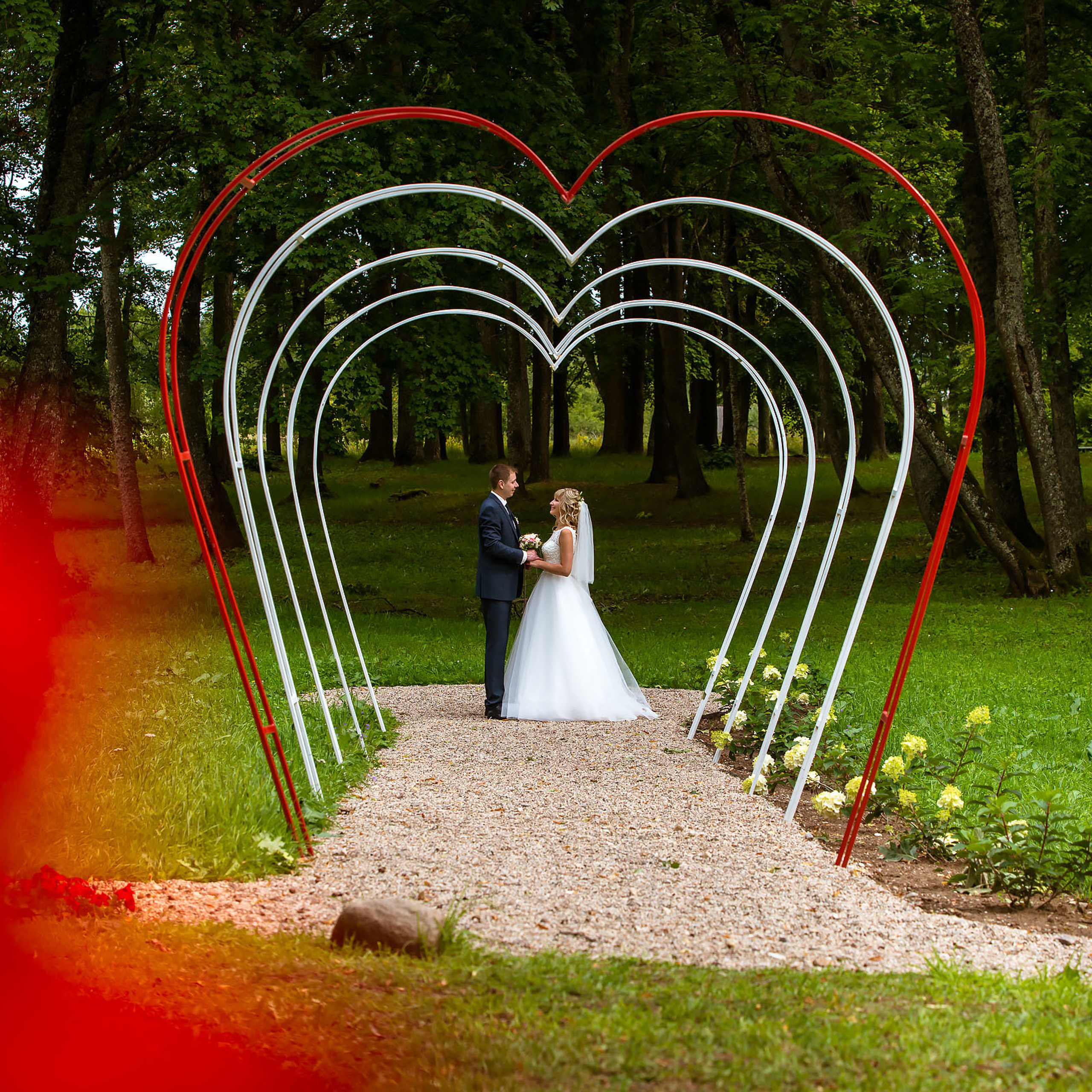 Анна и Марта / Корги и Гриффоны. Фотограф Ромуальд Рубенис и Артемий Сташанс