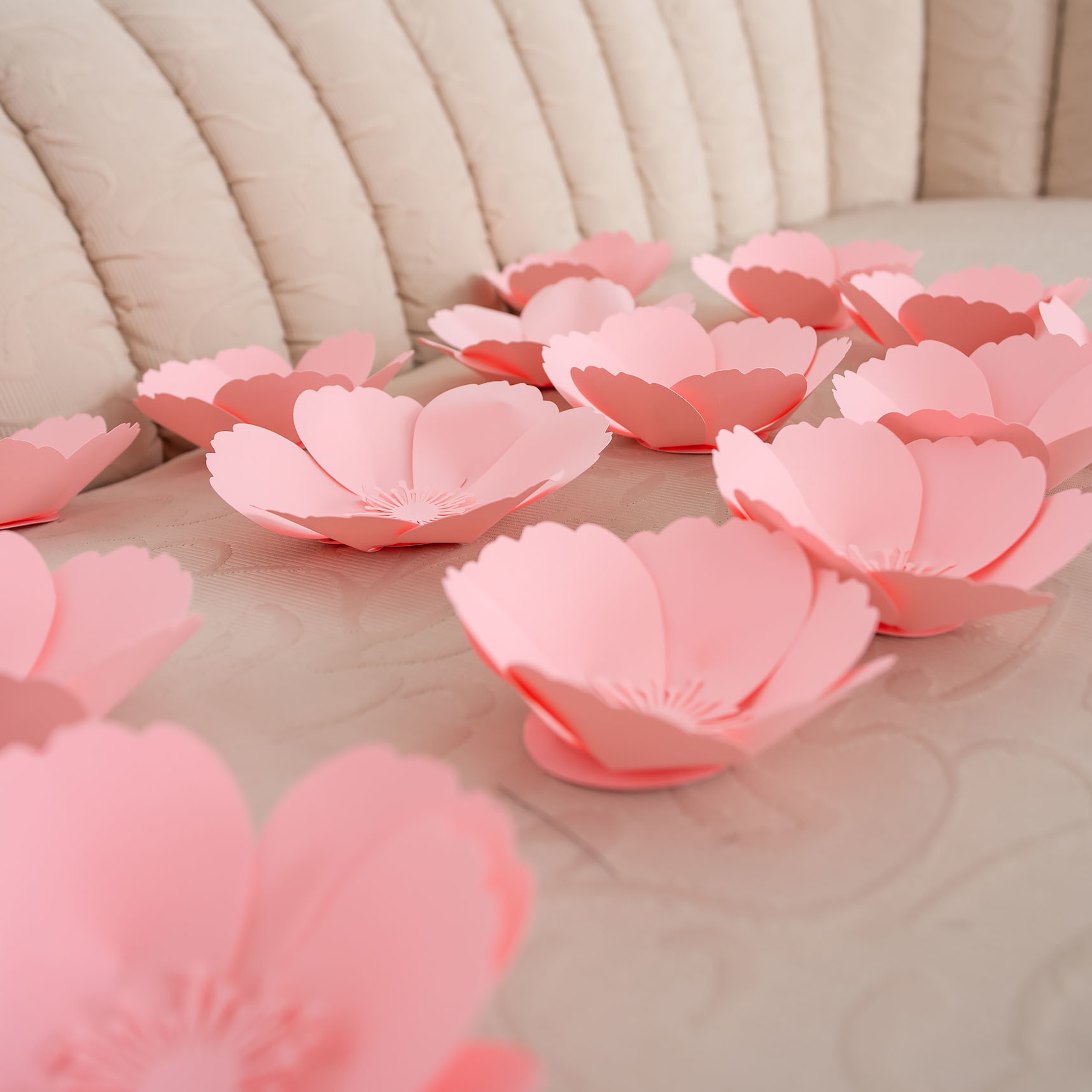 Анна и Марта / Корги и Гриффоны. Фотограф Ромуальд Рубенис и Артемий Сташанс