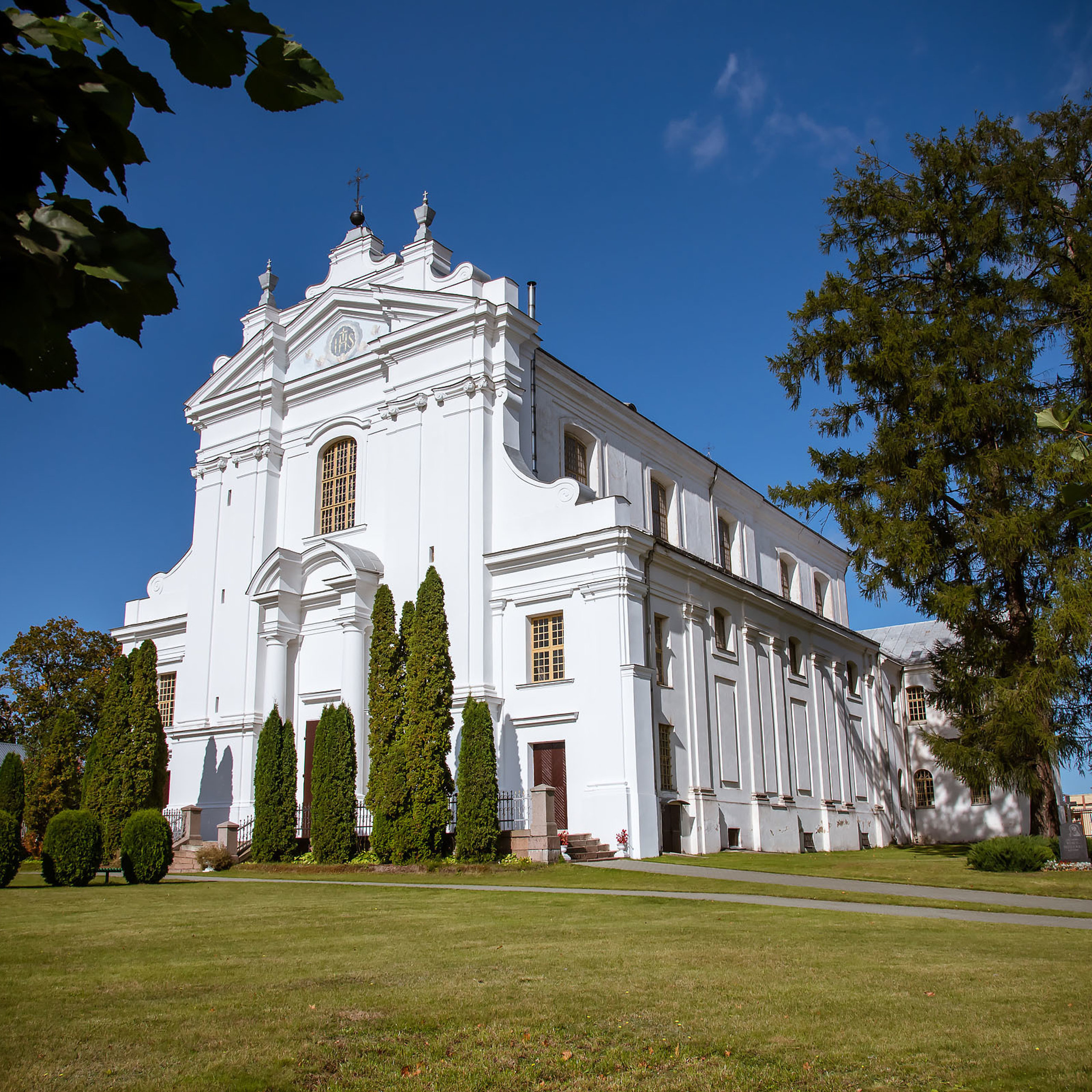 Анна и Марта / Корги и Гриффоны. Фотограф Ромуальд Рубенис и Артемий Сташанс