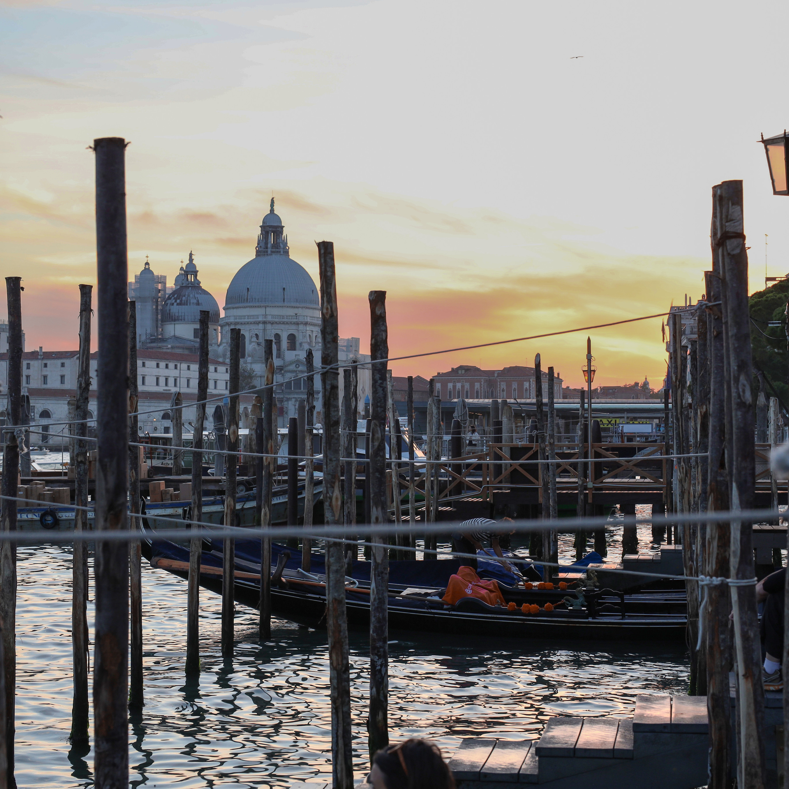 Referenzen. Guzel Kolobova| Fotografin| Salzburg