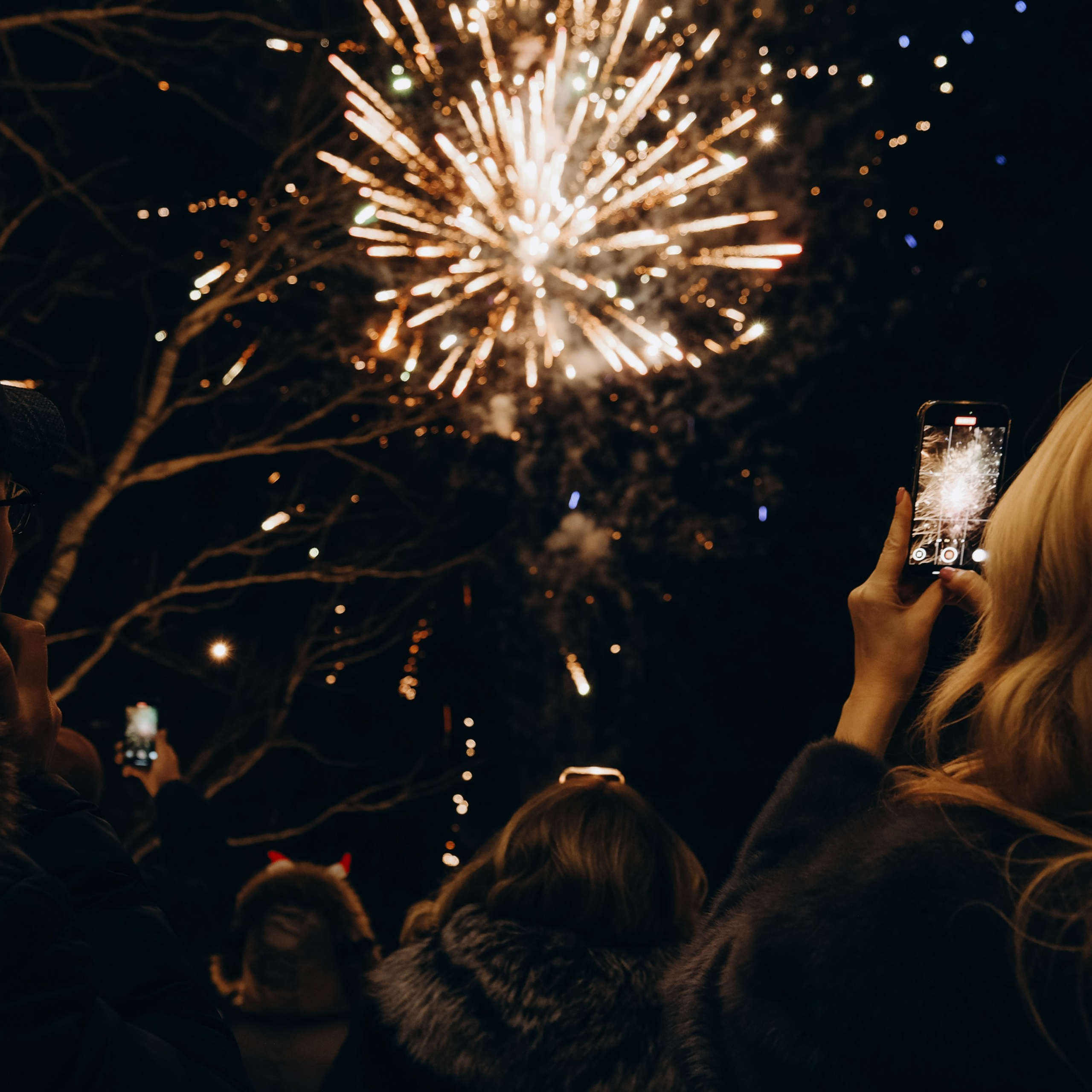 Новогодняя ночь Эко-отель «Лукоморье»