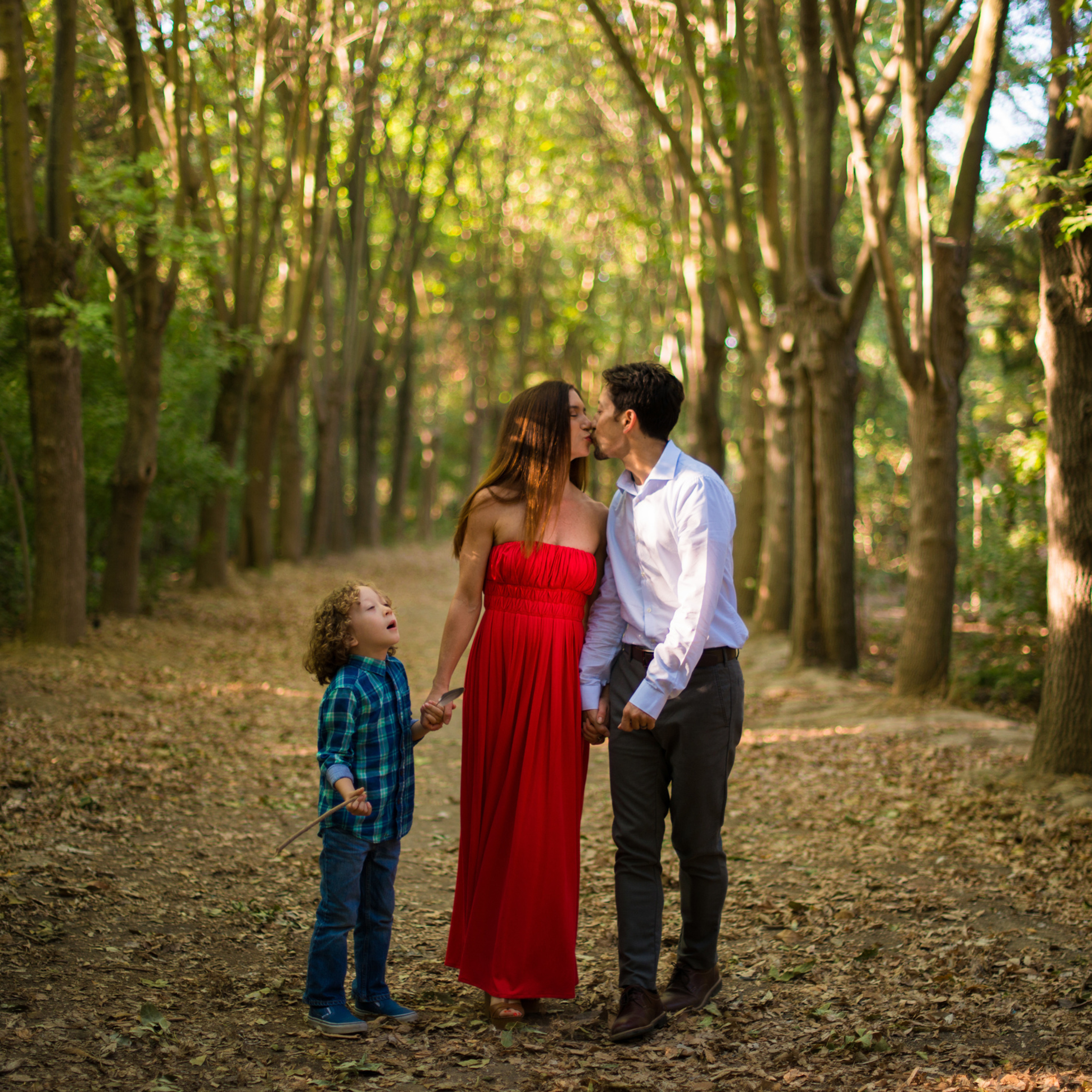 Оттенки осени