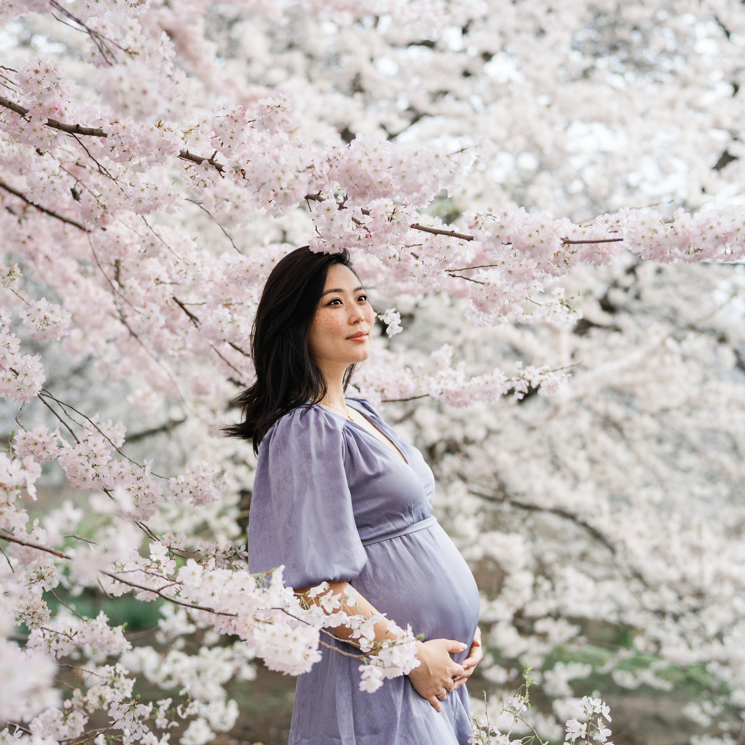 Testimonials. Photographer in New York Faery By Mary