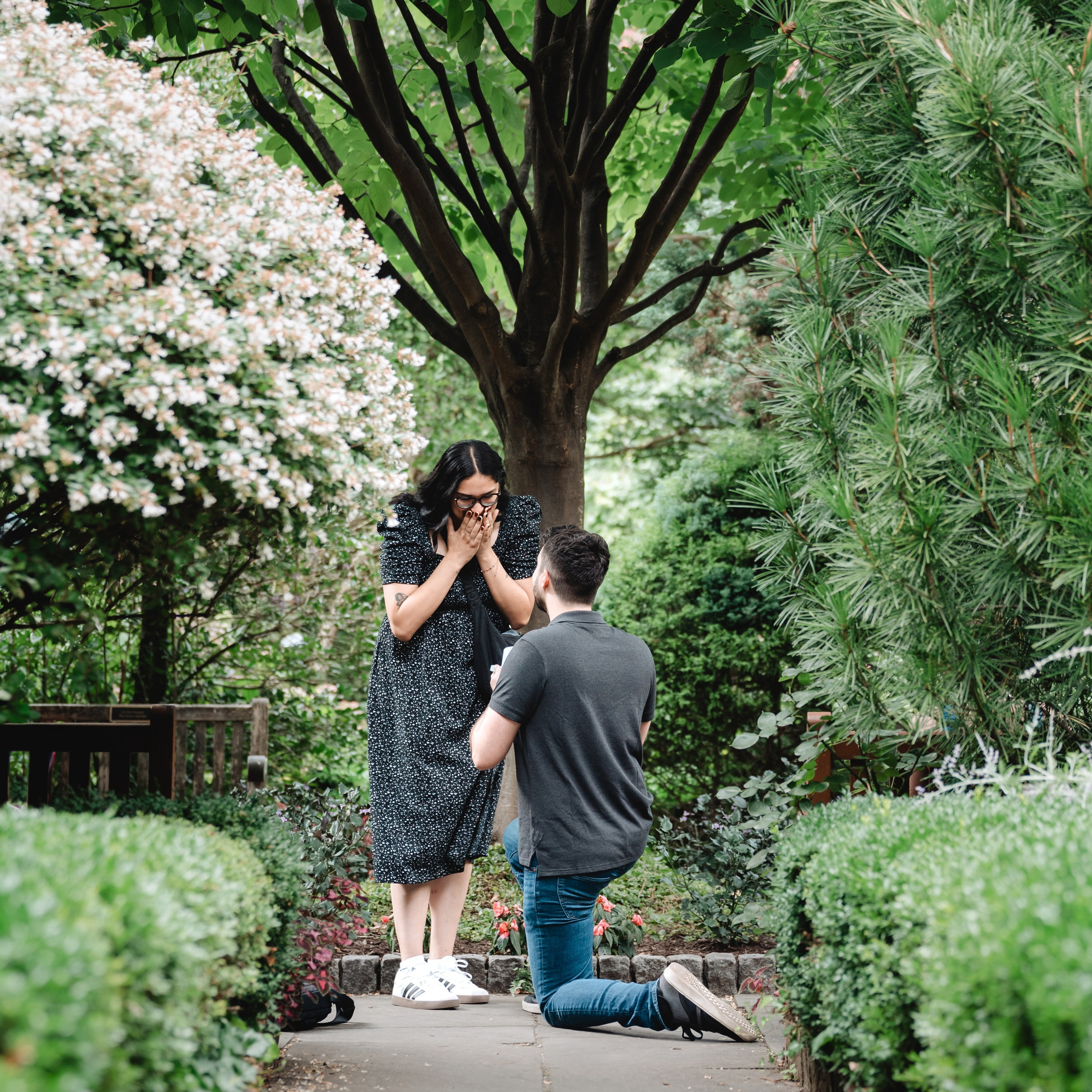 Testimonials. Photographer in New York Faery By Mary