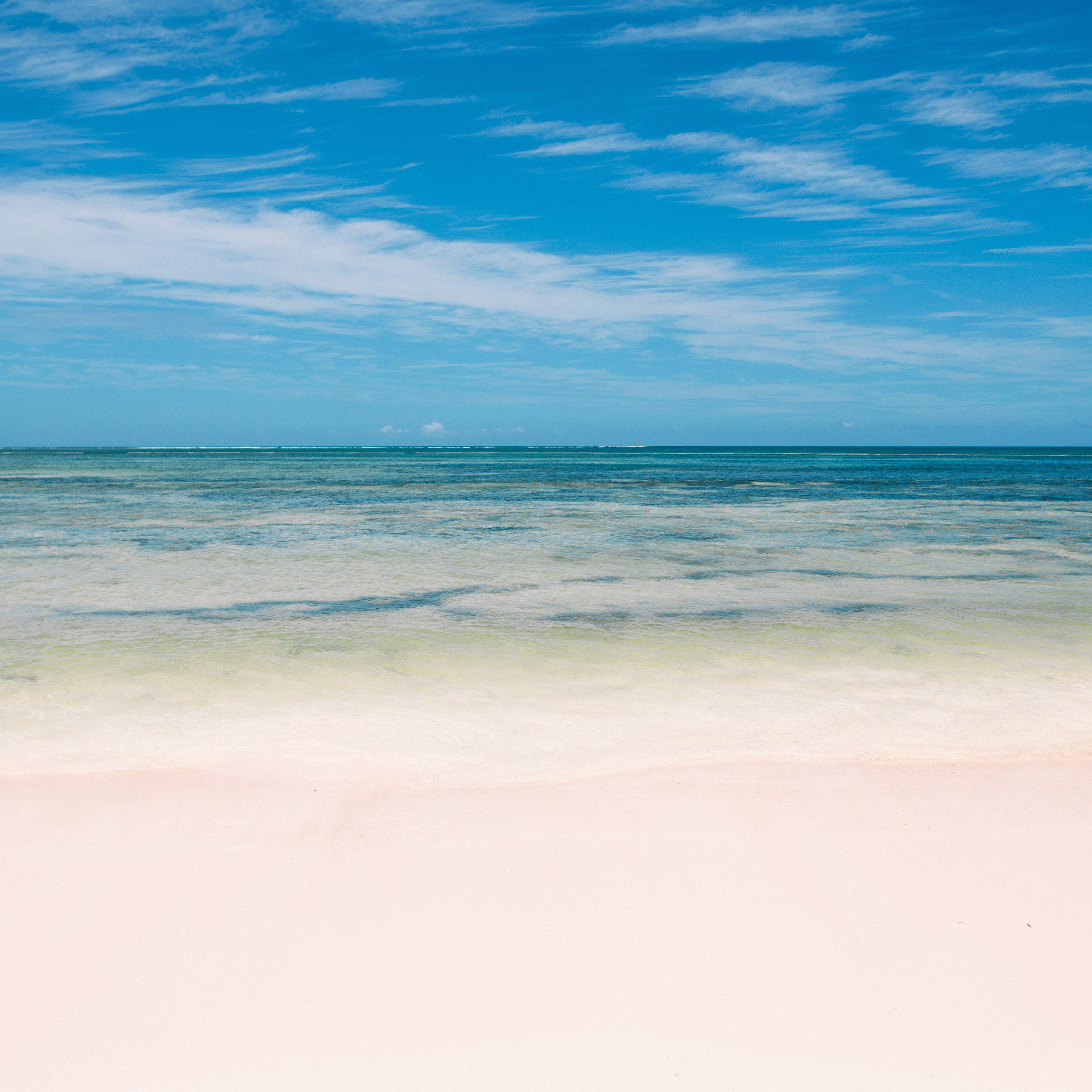 Testimonials. Punta cana wedding family fashion photographer dominican republic, destination wedding photographer, elopement photography Punta Cana