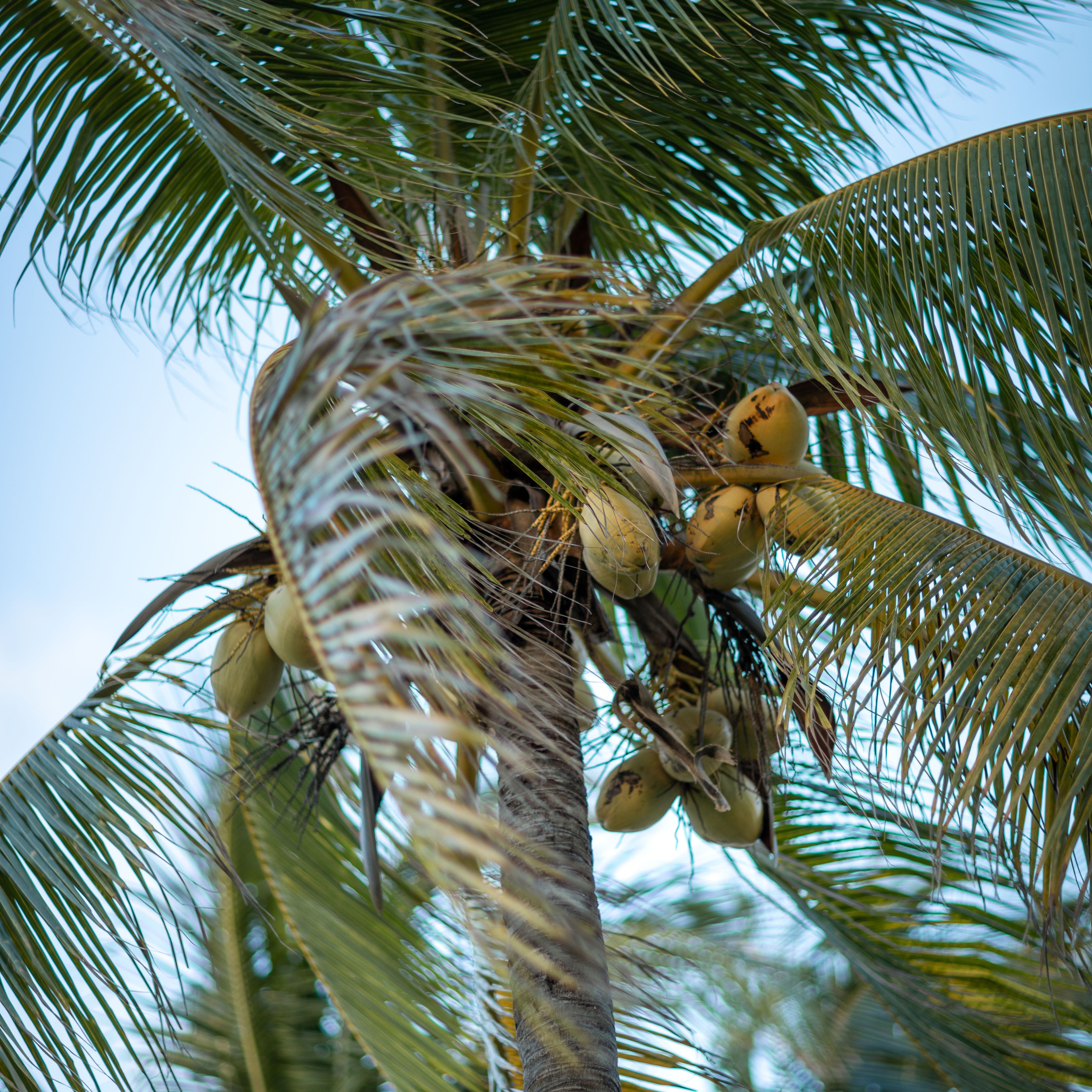 Катерина Шилова
