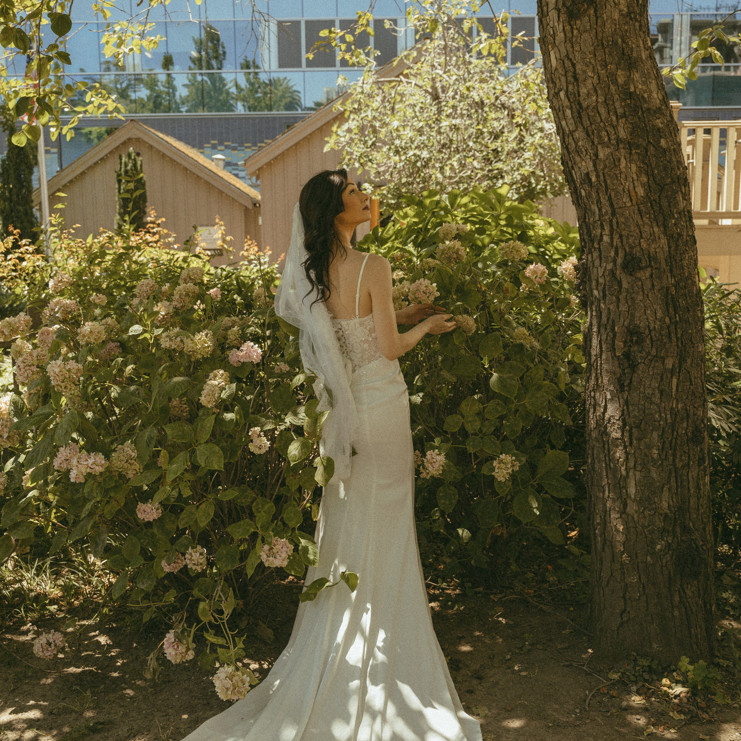 Reviews. Sacramento & Bay Area Candid Photographer | photography_of.nadia